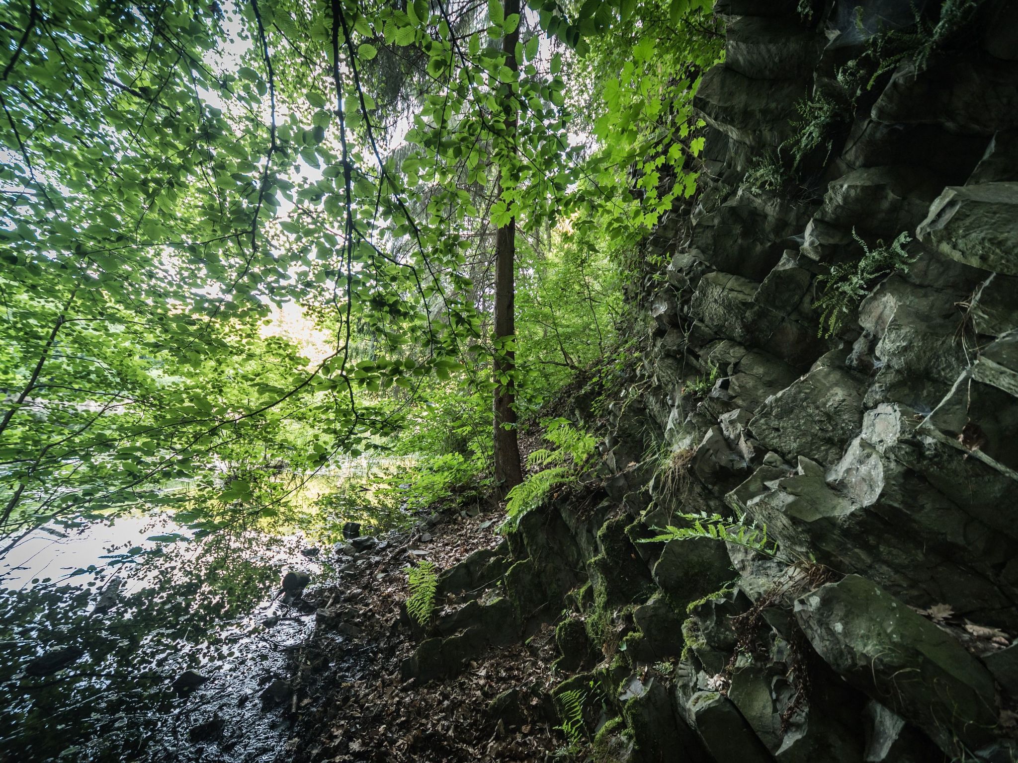 In Waldbreitbach mit Whirlpool-Drinnen