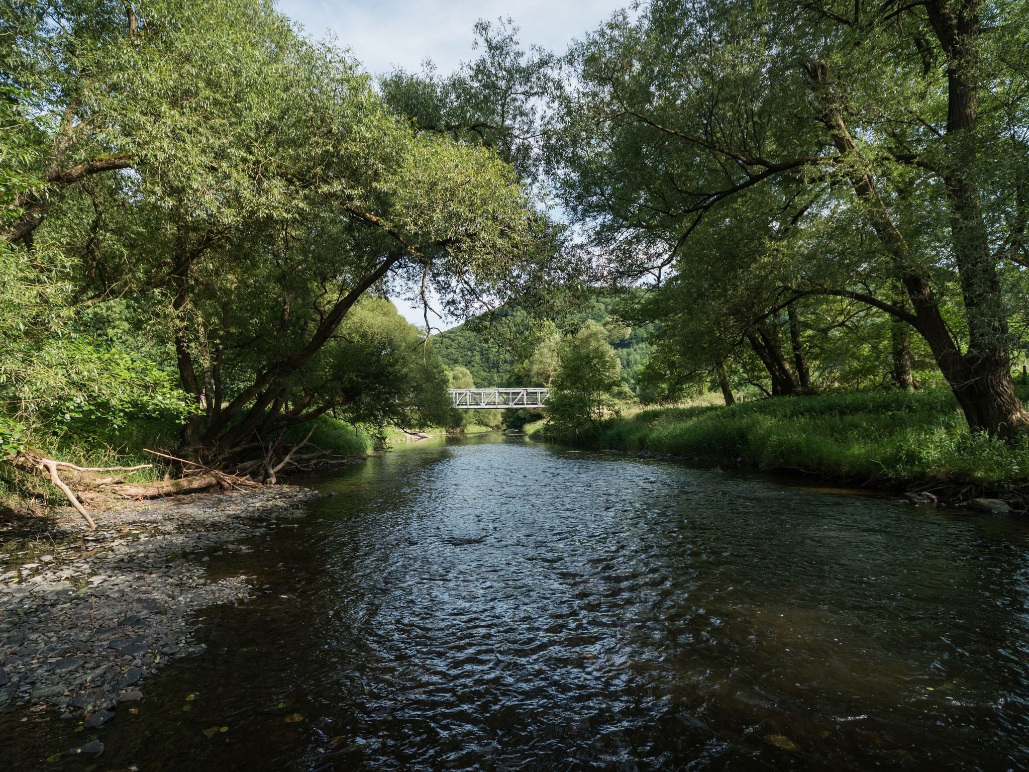 In Waldbreitbach mit Whirlpool-Drinnen