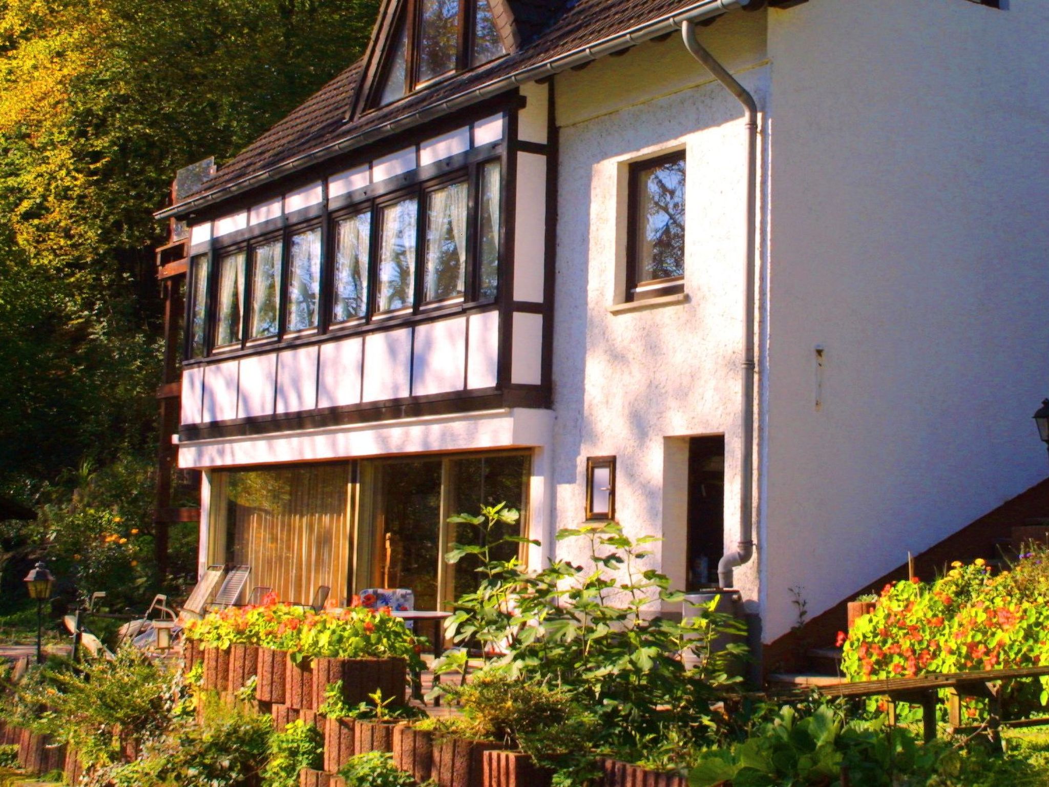 Vakantiehuis in Waldbreitbach (Duitsland) 1 hond is welkom