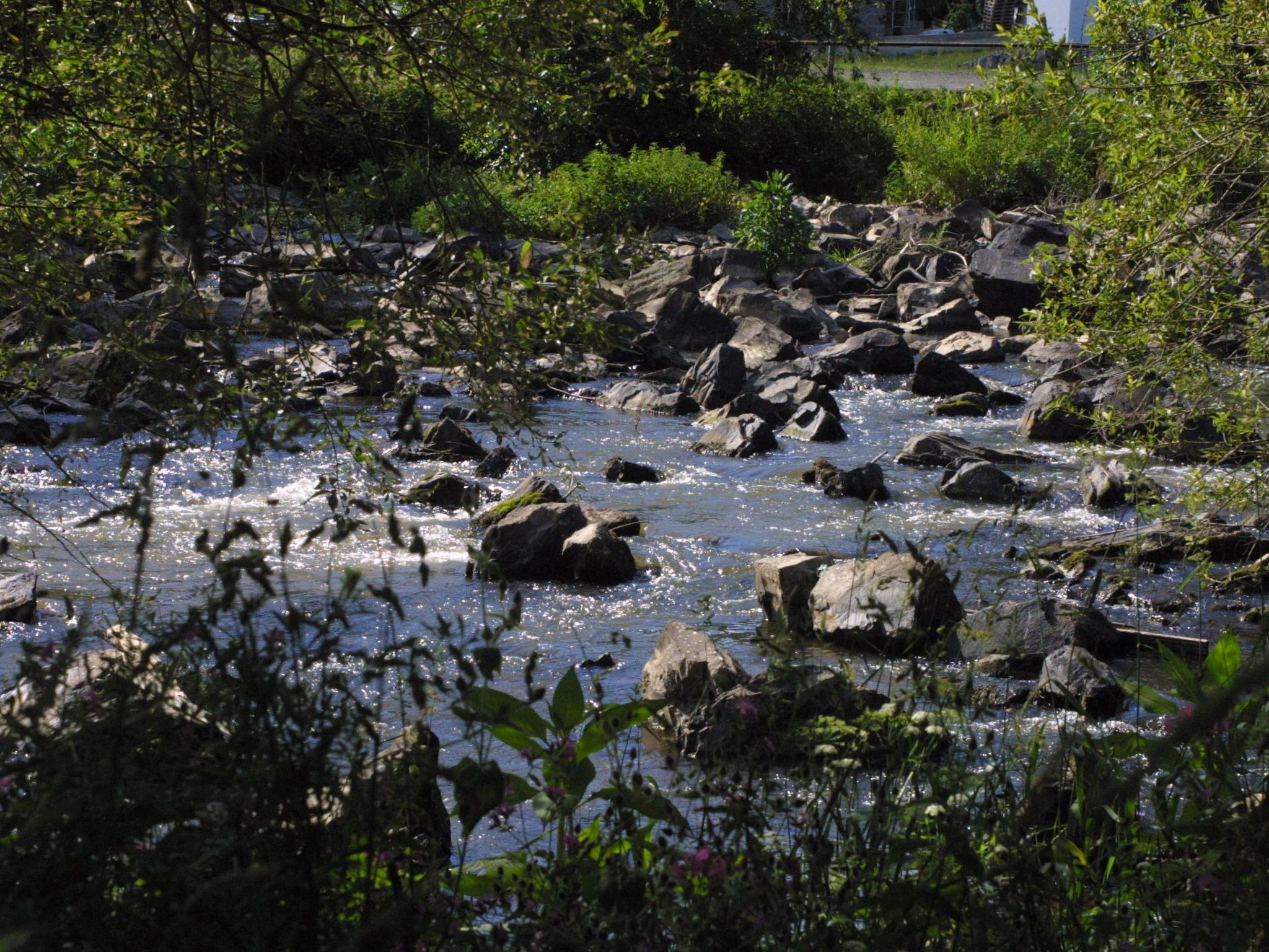 Chalet Wiedfluh in Waldbreitbach-Drinnen