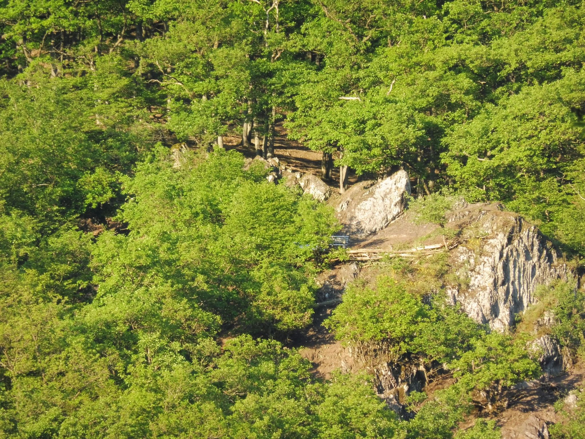 Chalet Wiedfluh in Waldbreitbach-Drinnen