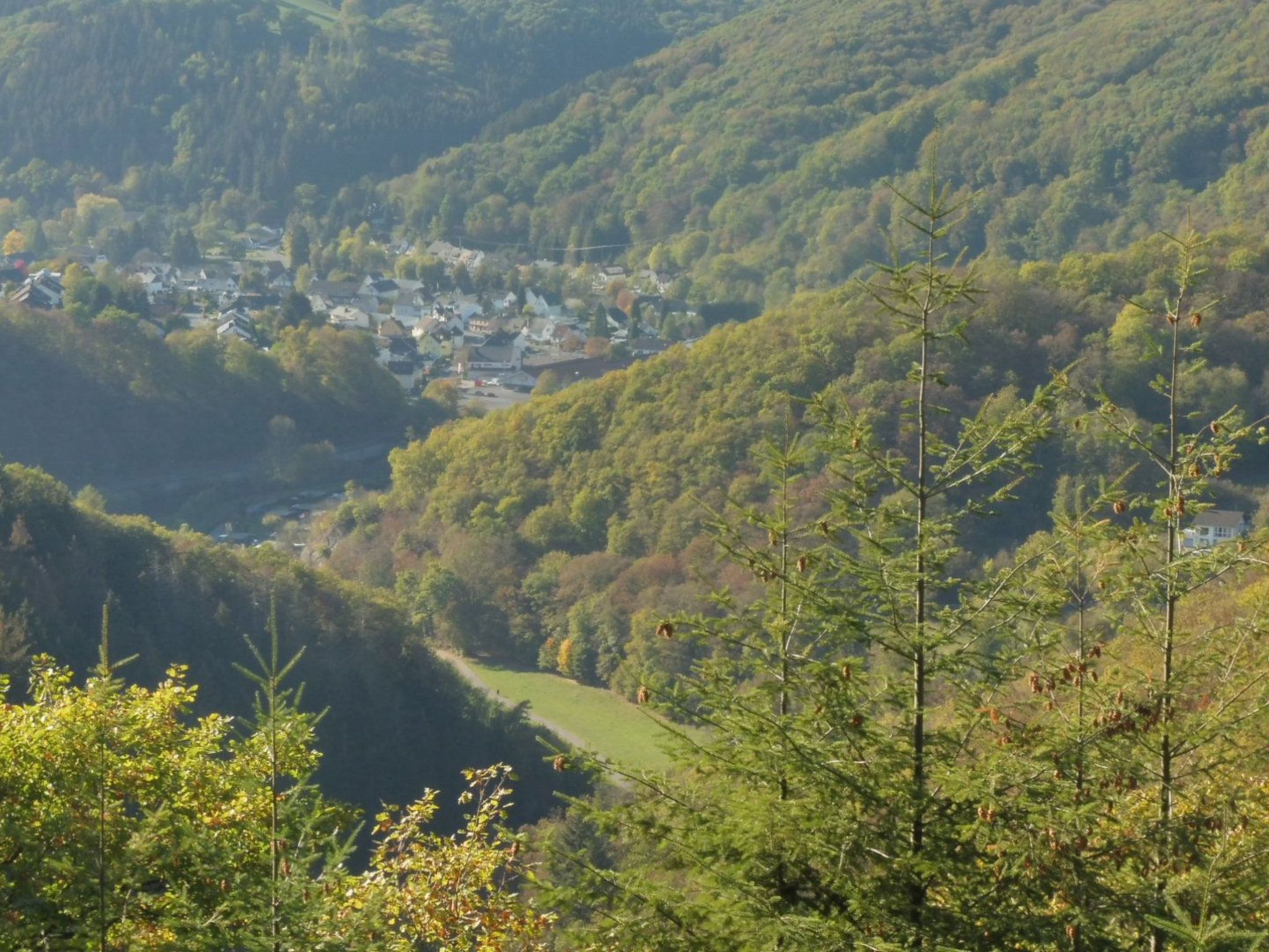 Chalet Wiedfluh in Waldbreitbach-Drinnen