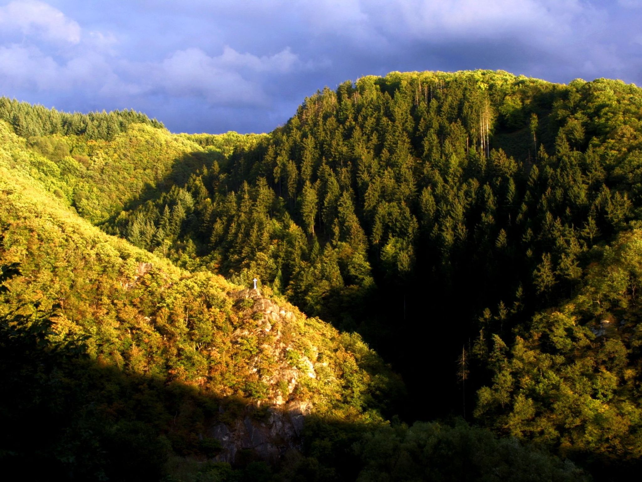 Chalet Wiedfluh in Waldbreitbach-Drinnen