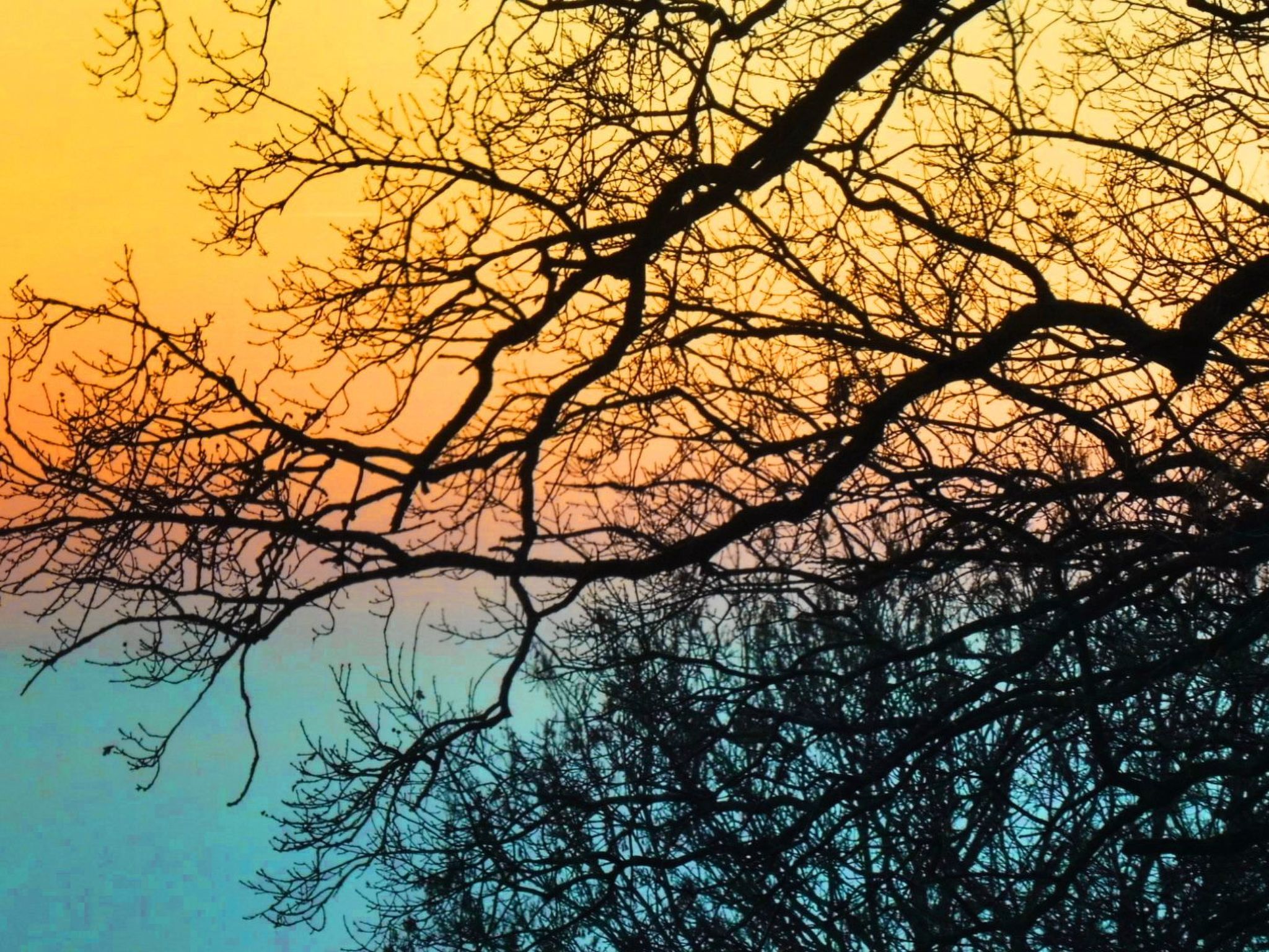 Chalet Wiedfluh in Waldbreitbach-Drinnen