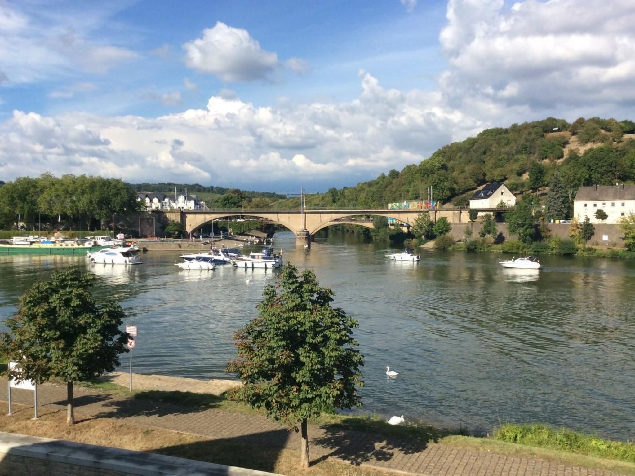 Einzigartige Lage direkt Mosel und Radweg.-Binnen