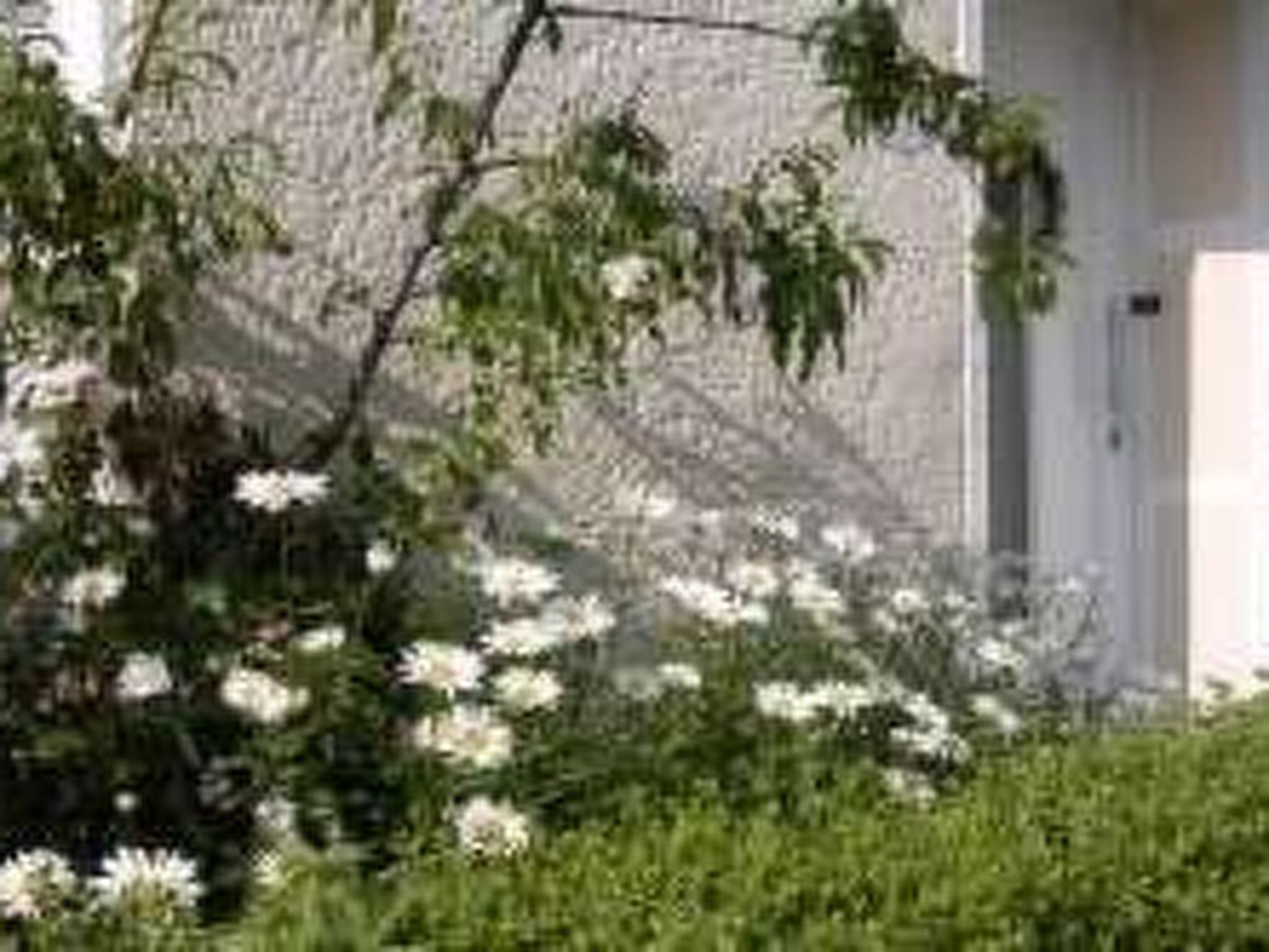 Auszeit Trittenheim-Binnen