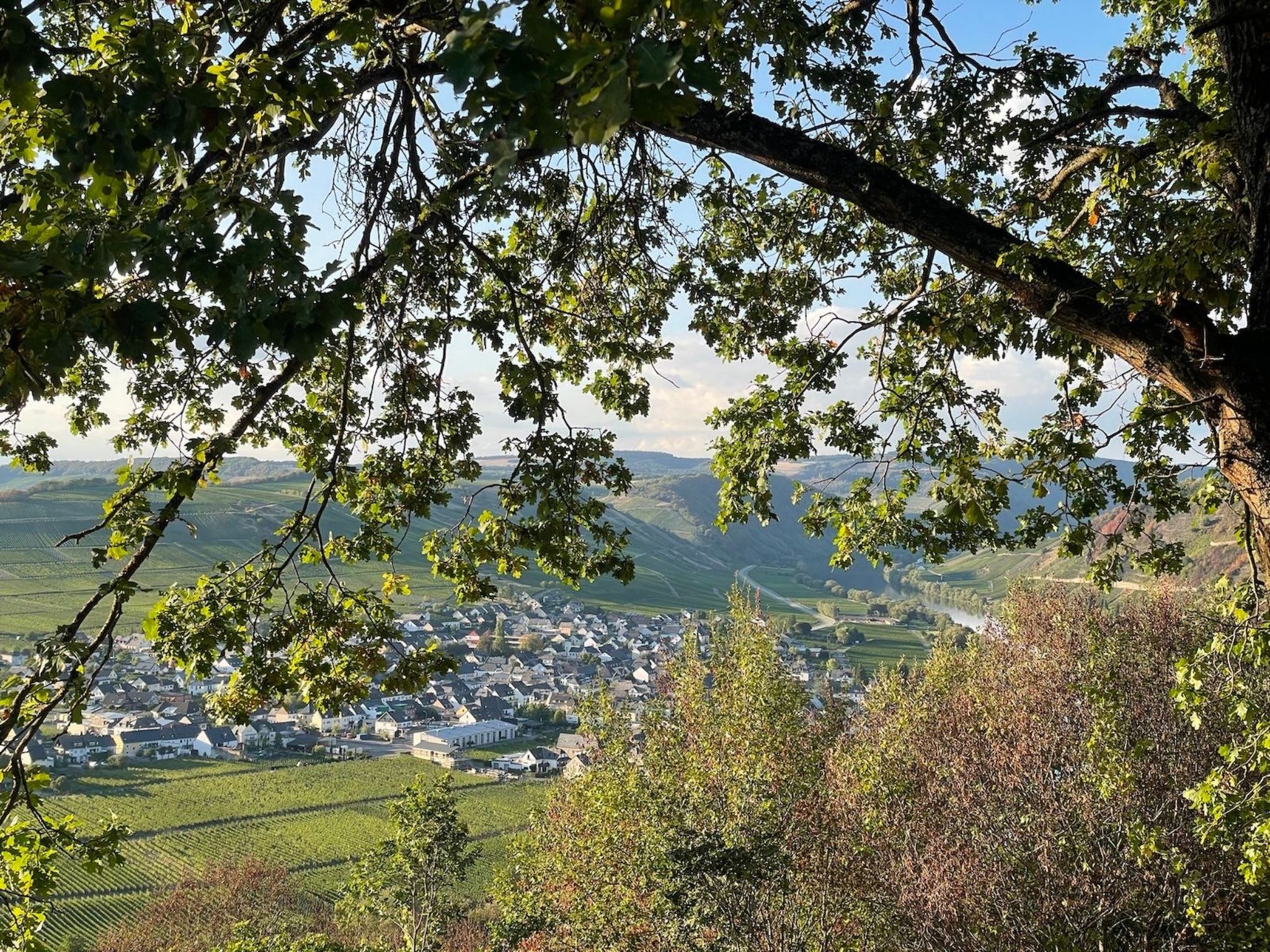 Auszeit Trittenheim-Binnen