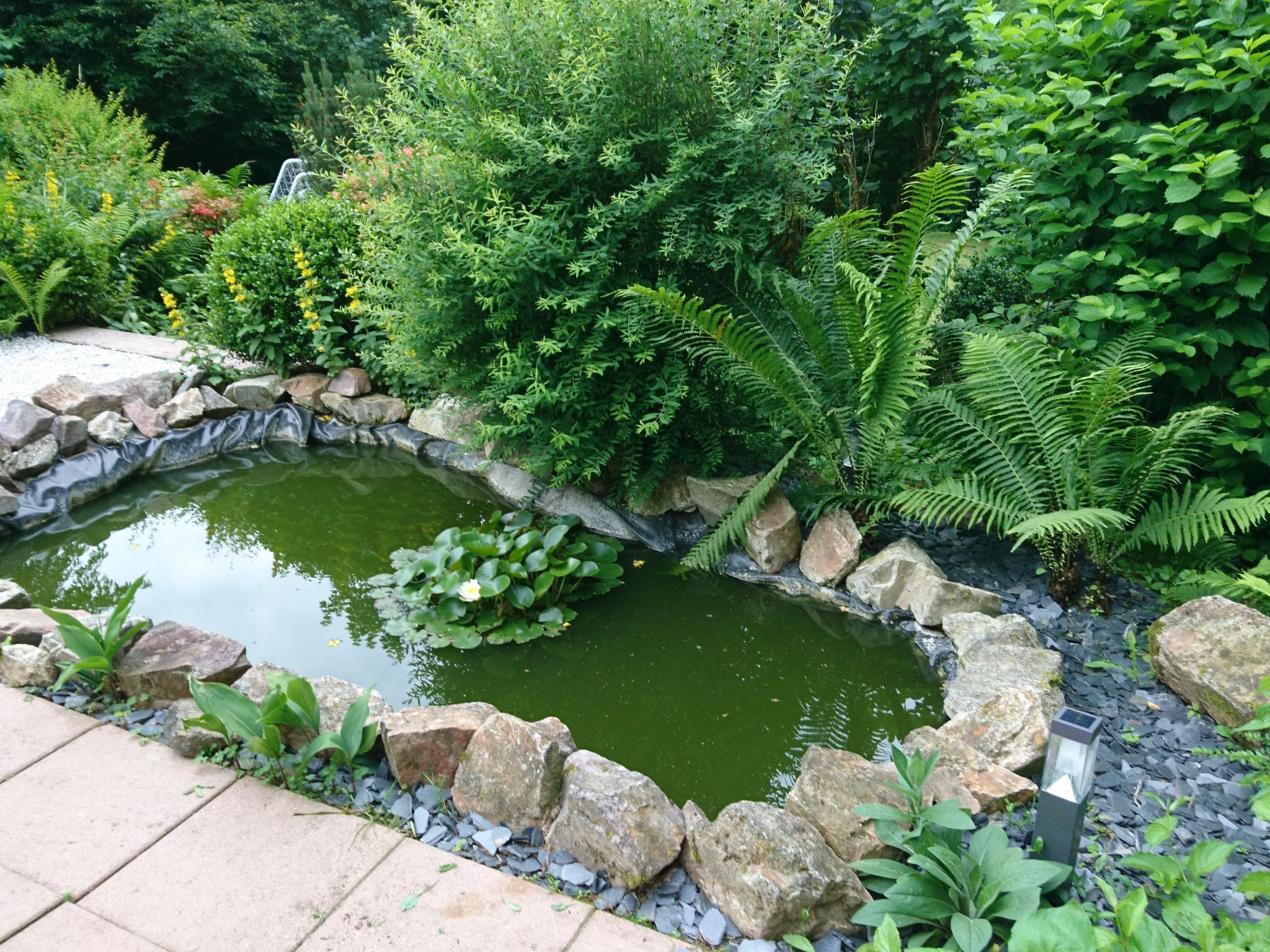 In Im Trieschelbach mit Großem Garten-Binnen