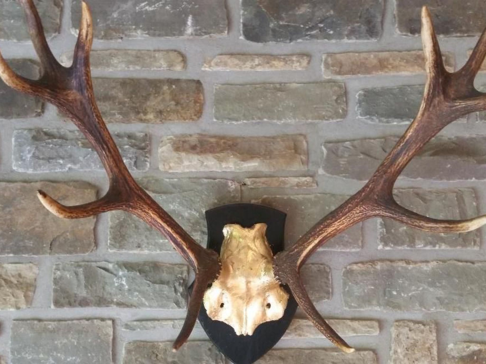 In Zendscheid mit Offenem Kamin-Binnen