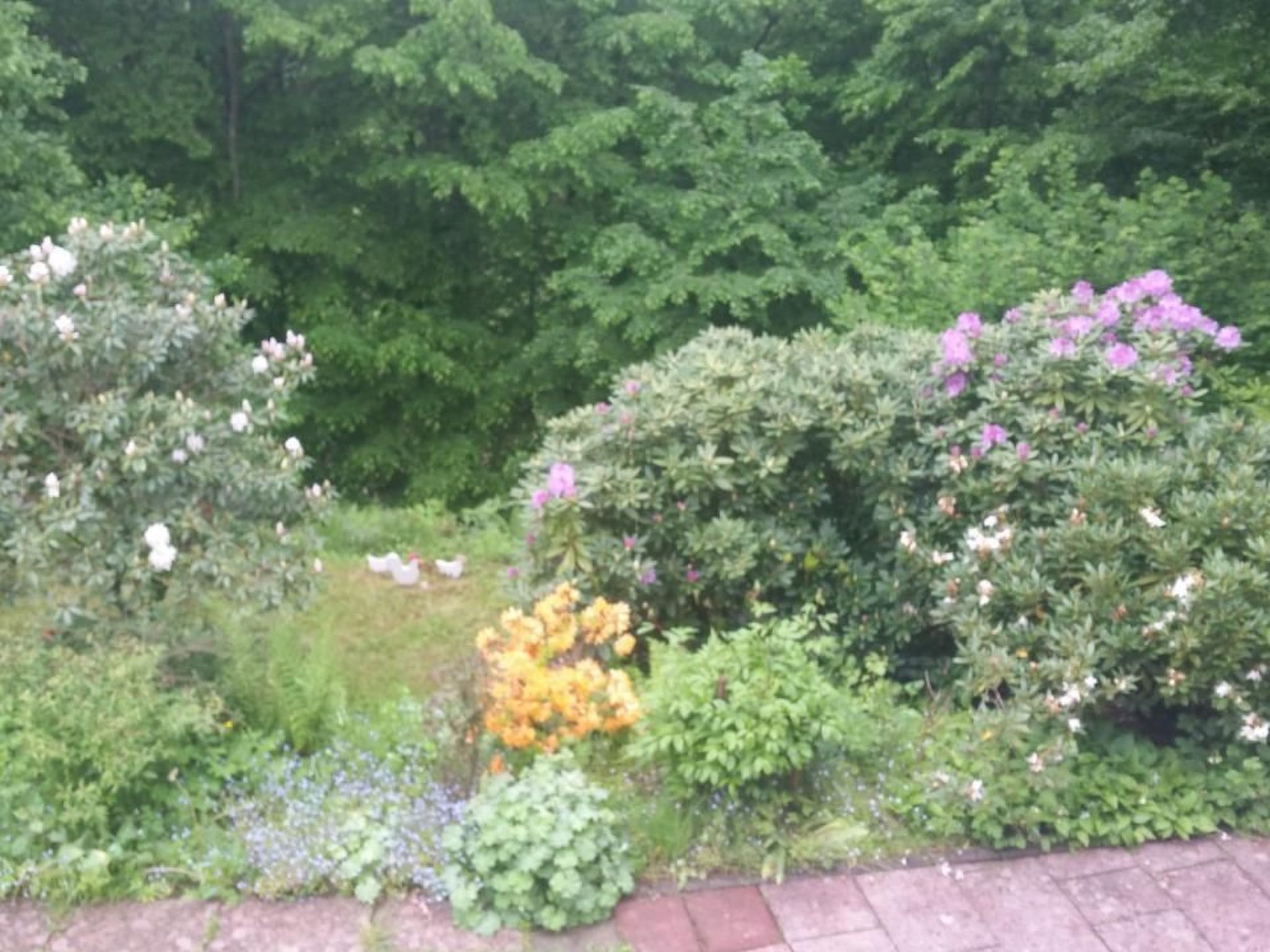 In Zendscheid mit Offenem Kamin-Binnen