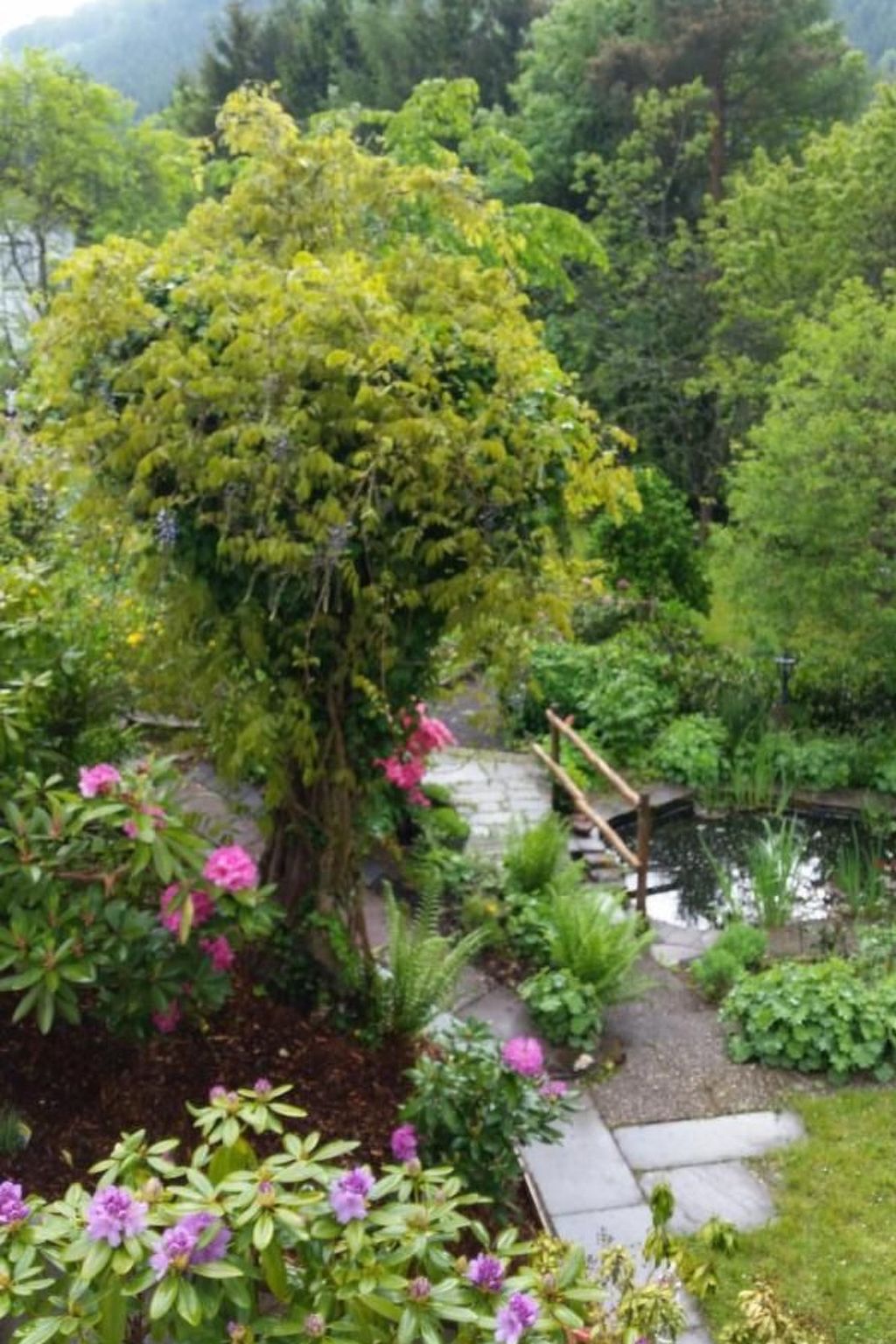 In Zendscheid mit Offenem Kamin-Binnen