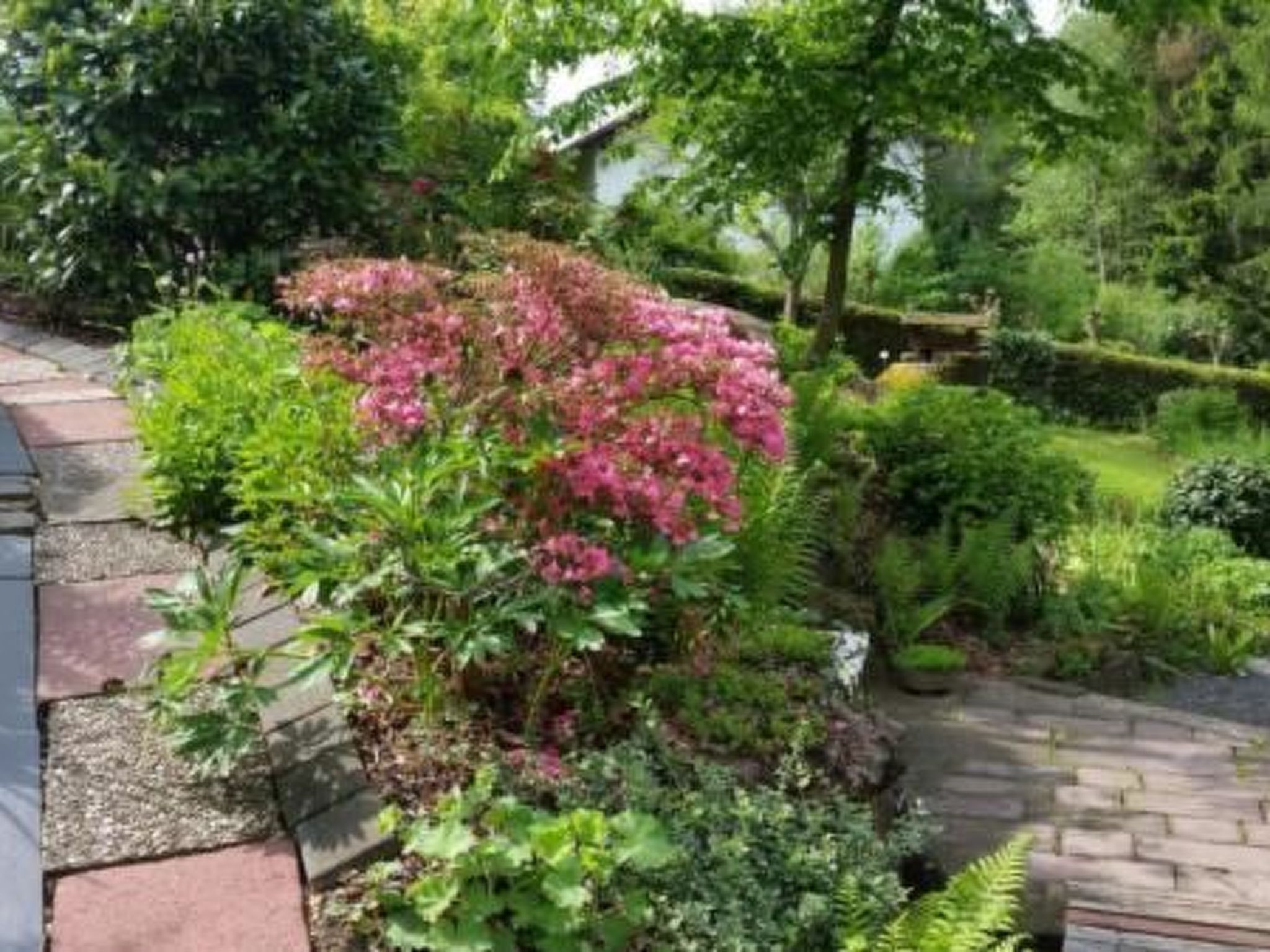 In Zendscheid mit Offenem Kamin-Binnen