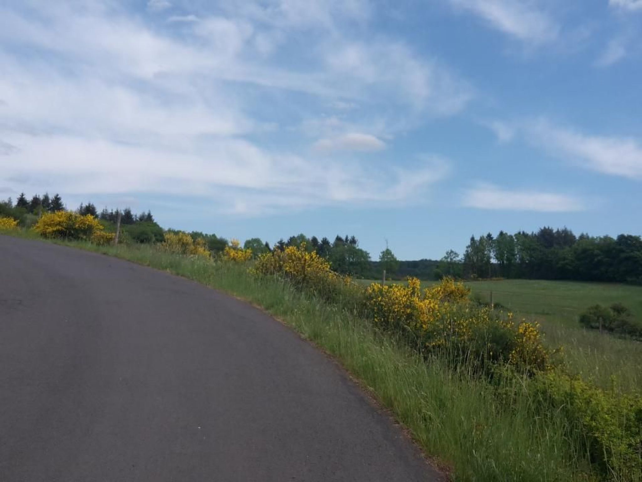 In Zendscheid mit Offenem Kamin-Binnen