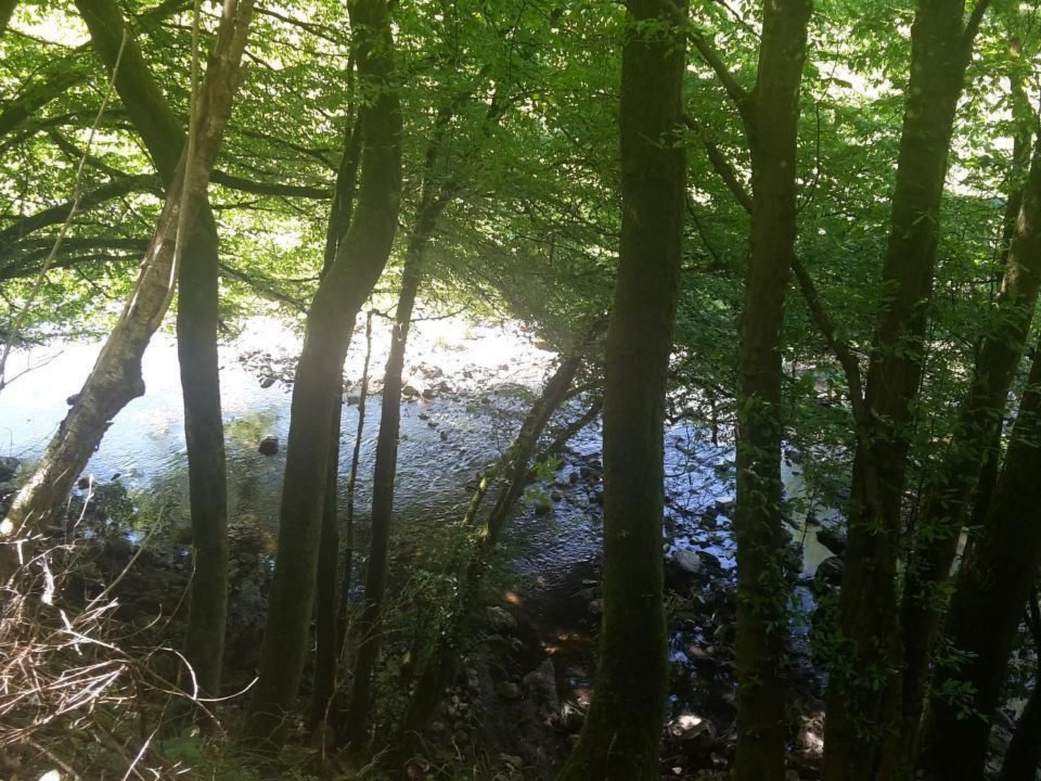 In Zendscheid mit Offenem Kamin-Binnen