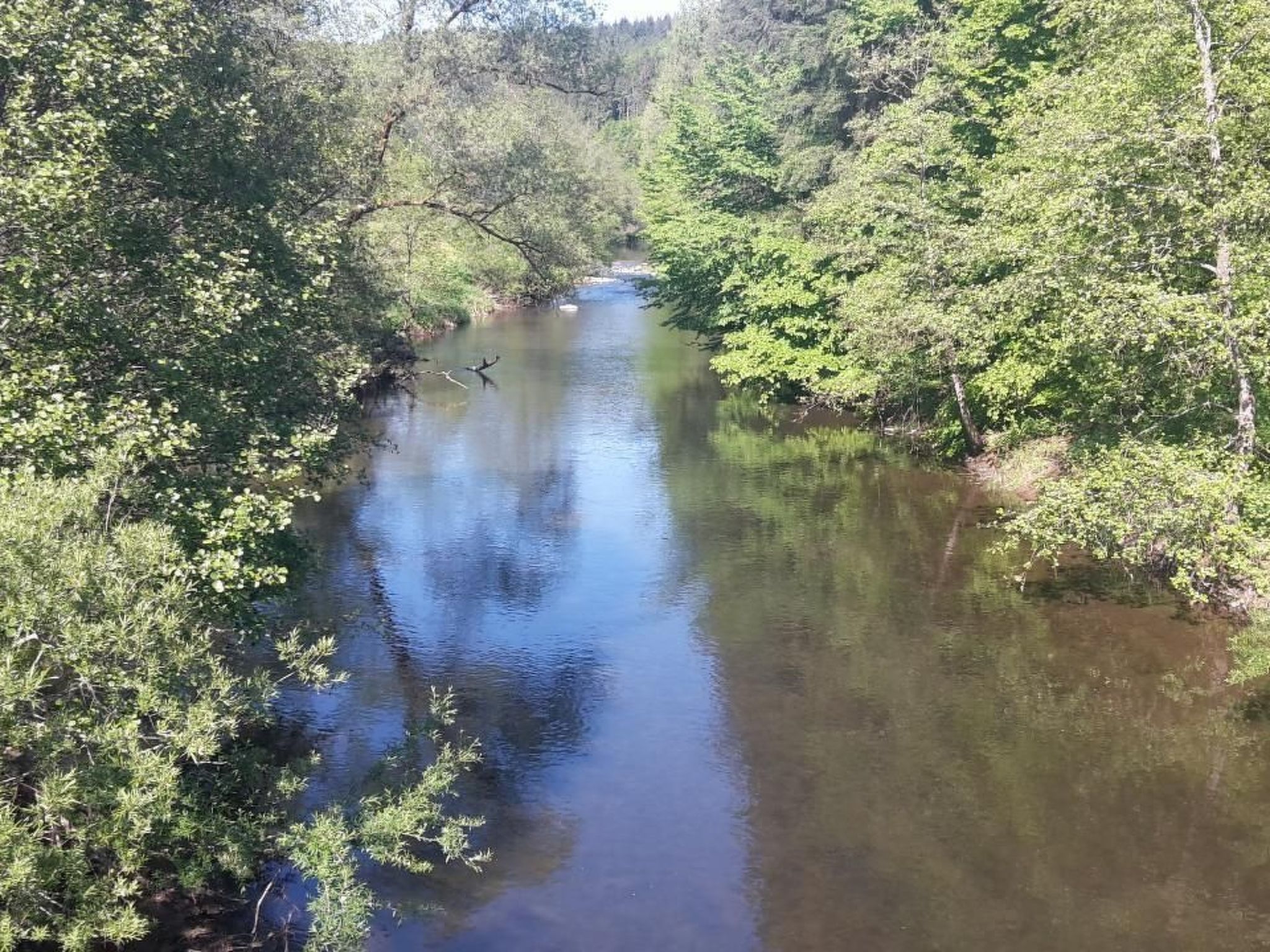 In Zendscheid mit Offenem Kamin-Binnen