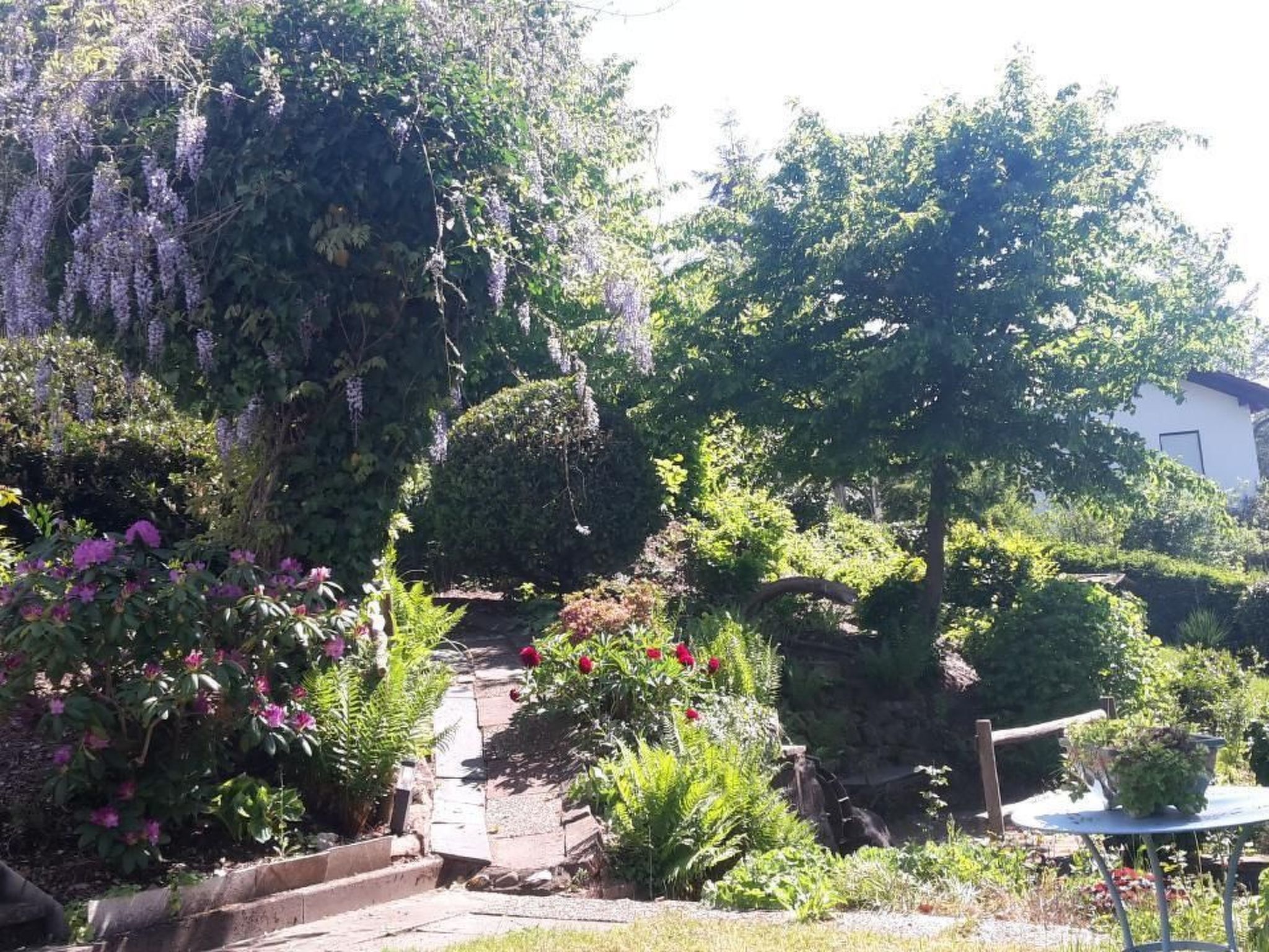 In Zendscheid mit Offenem Kamin-Binnen