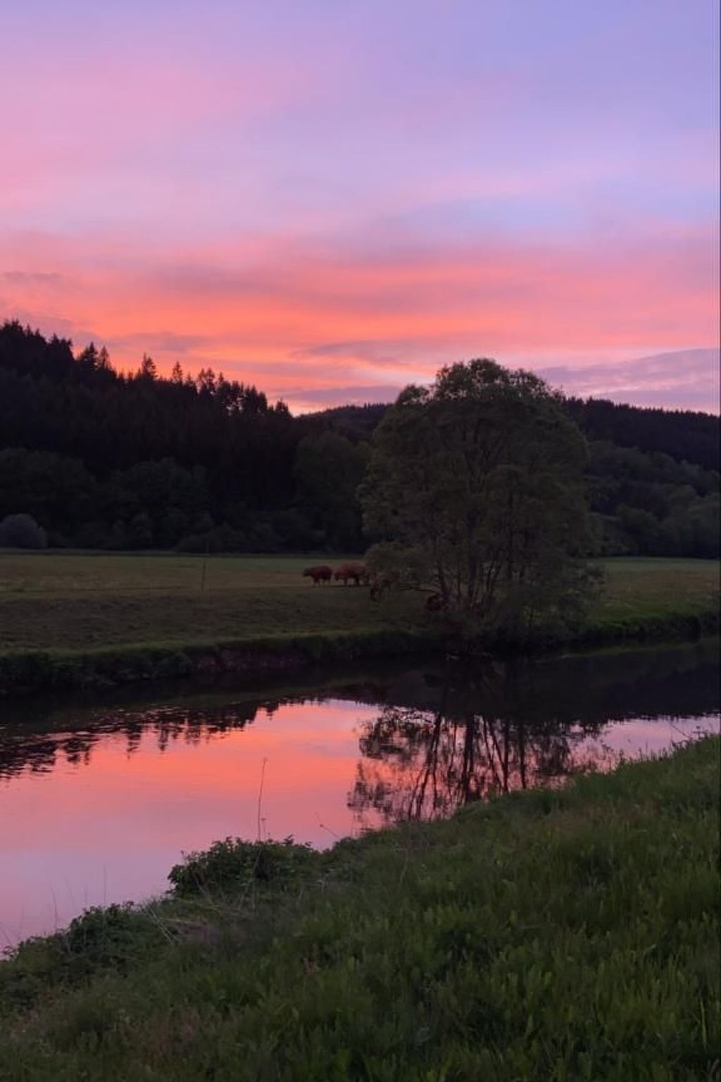 In Zendscheid mit Offenem Kamin-Binnen