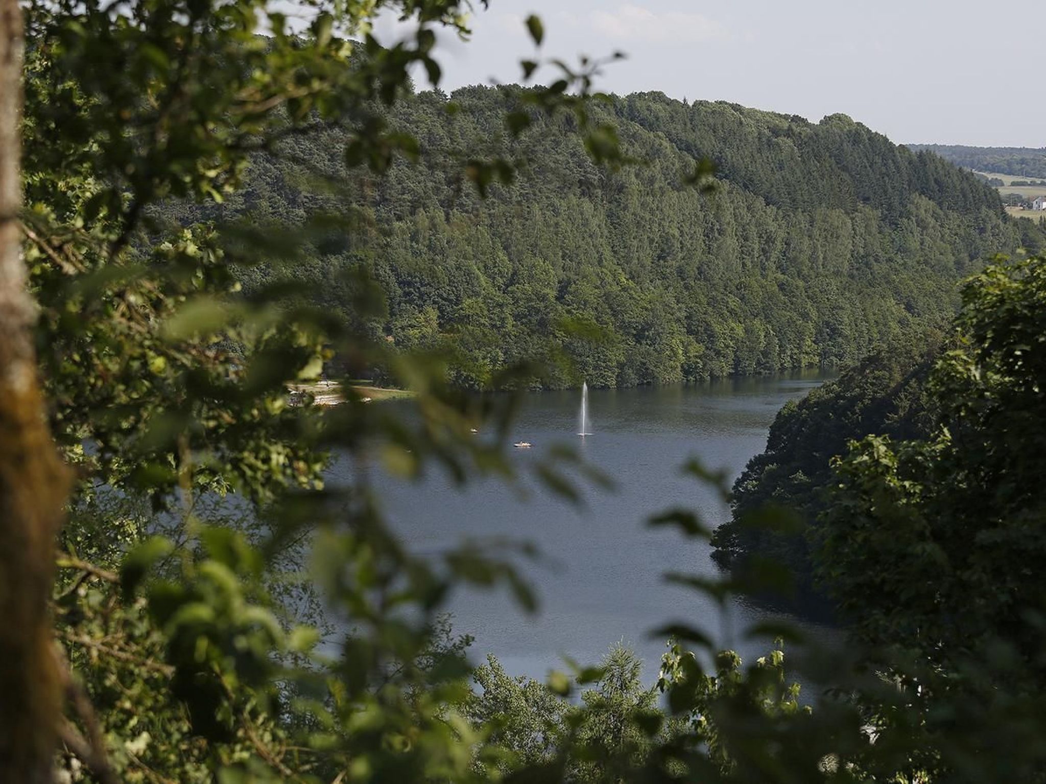 Mit Garten im Naturpark Südeifel-Binnen