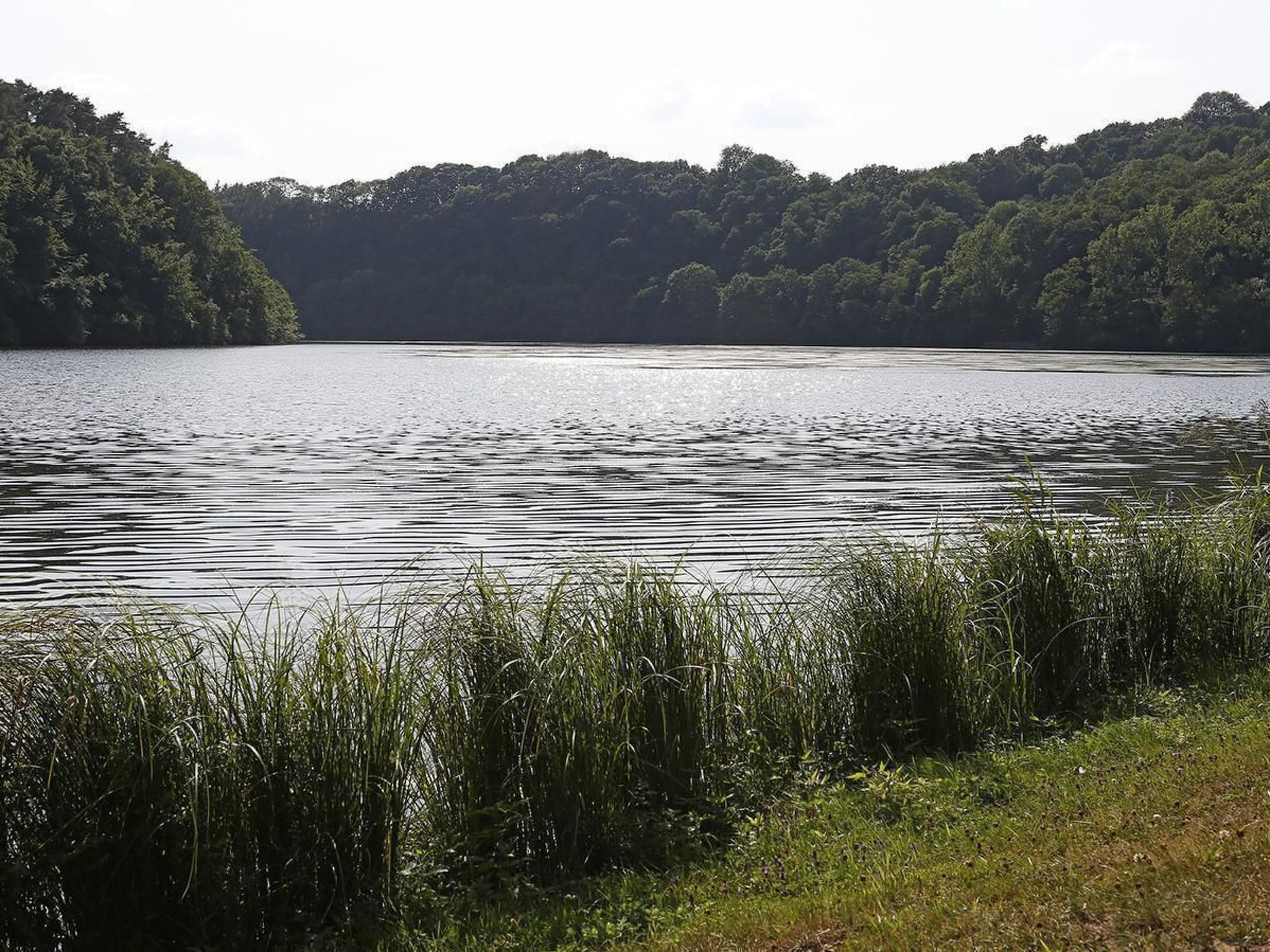 Mit Garten im Naturpark Südeifel-Binnen
