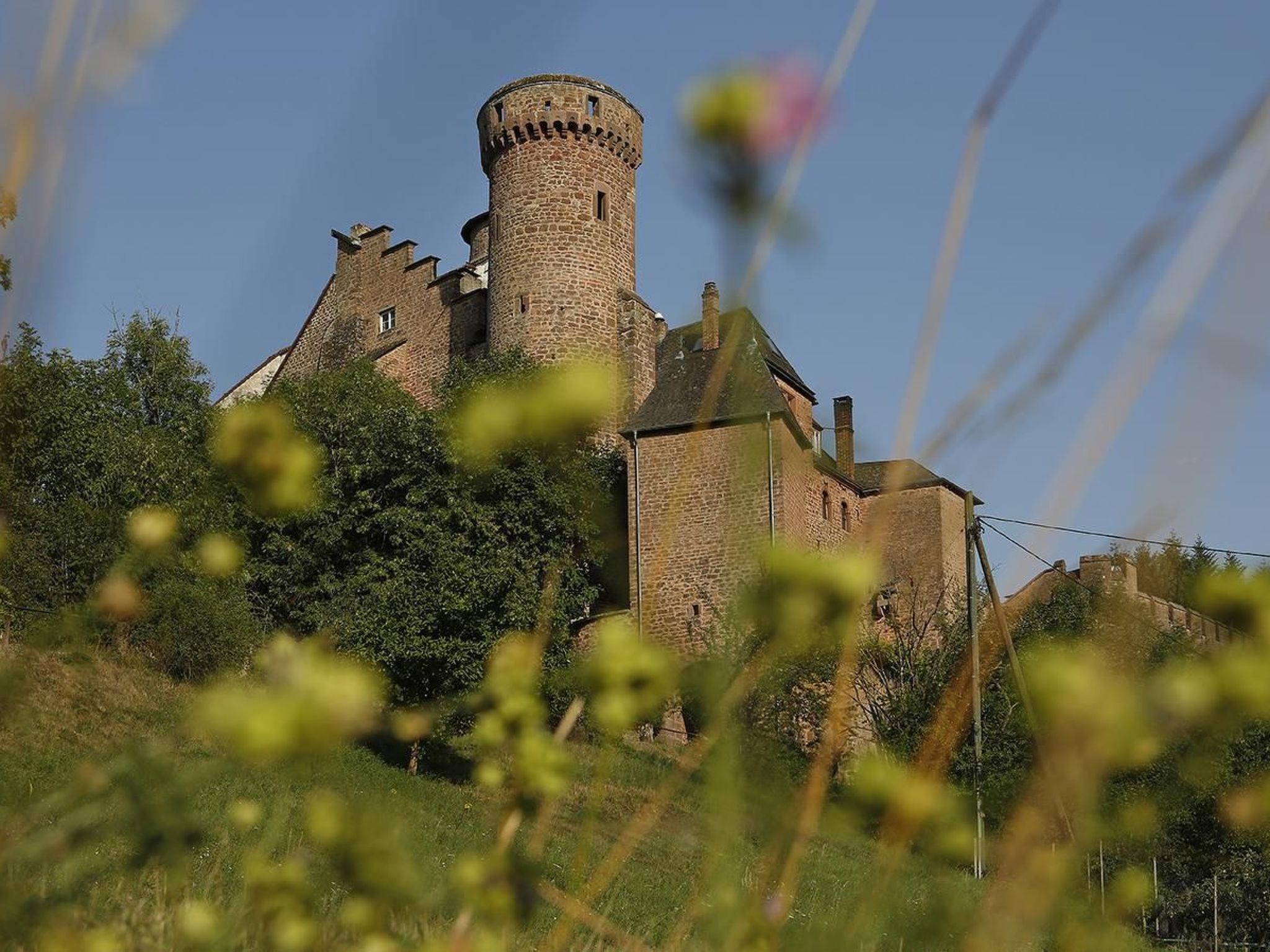Mit Garten im Naturpark Südeifel-Binnen