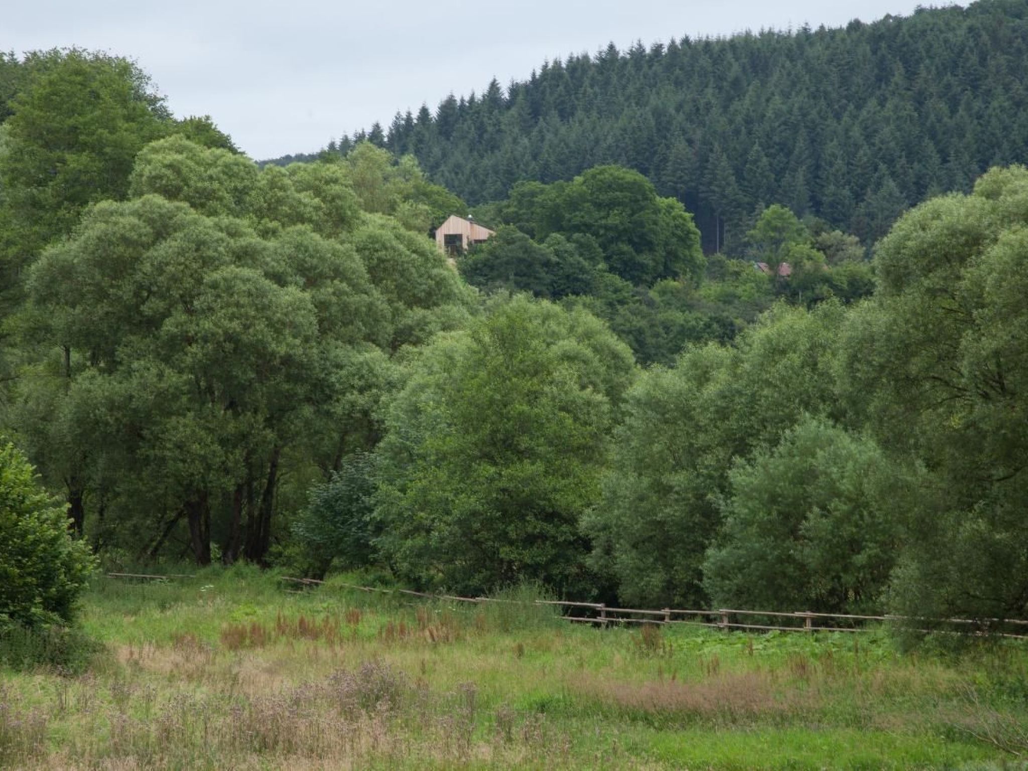 Moderner Holzhausneubau in der Eifel-Binnen