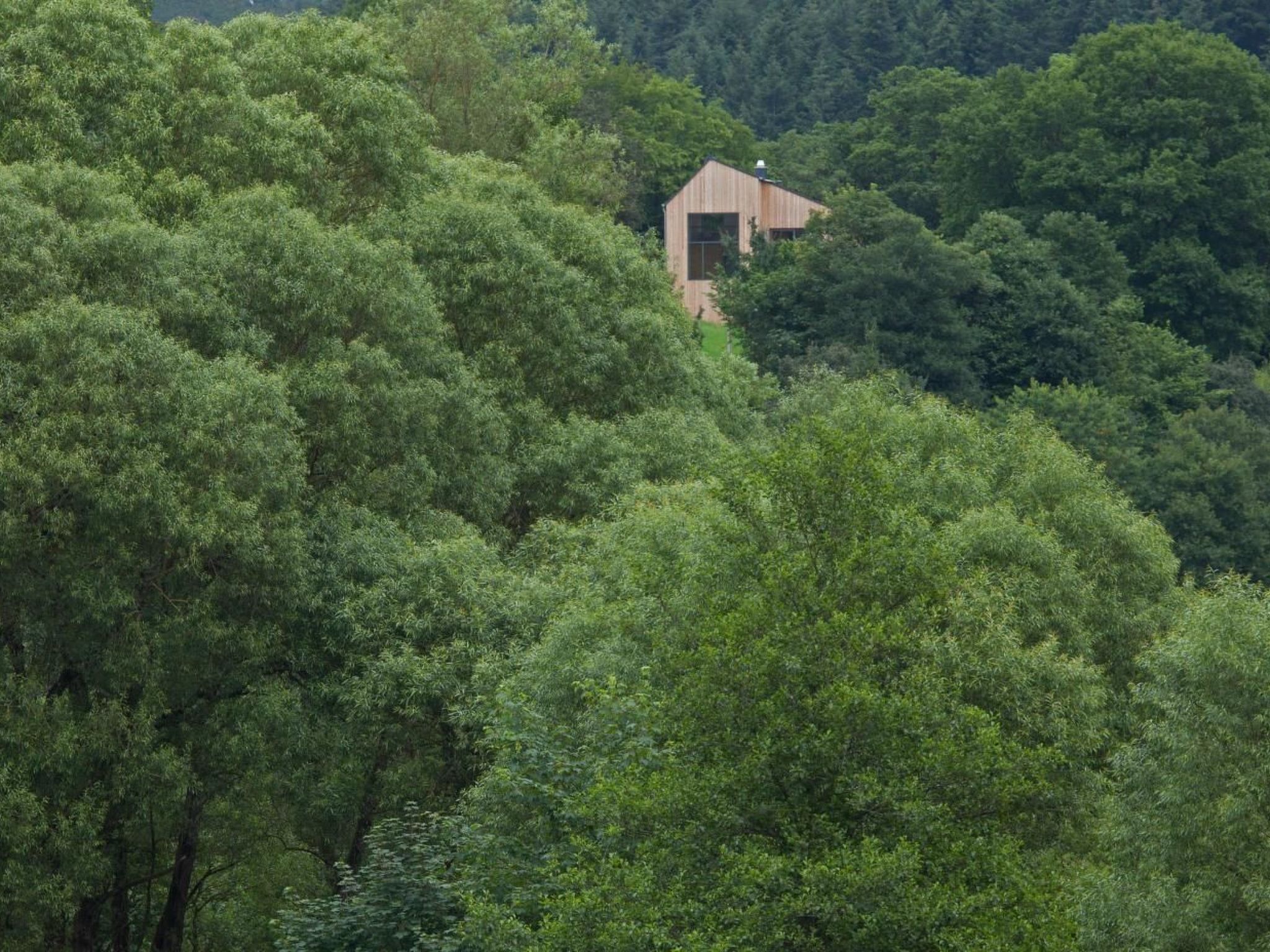 Moderner Holzhausneubau in der Eifel-Binnen