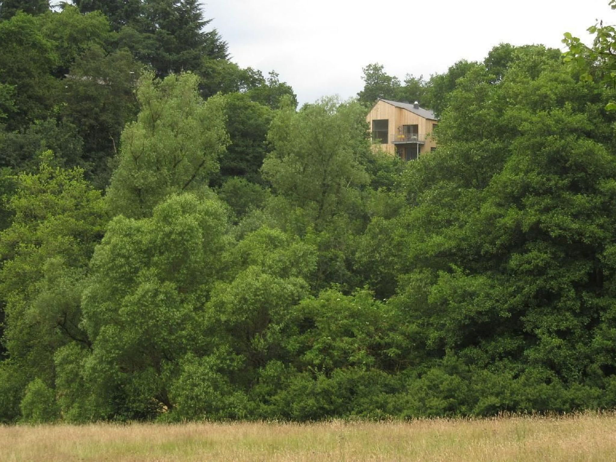 Moderner Holzhausneubau in der Eifel-Binnen