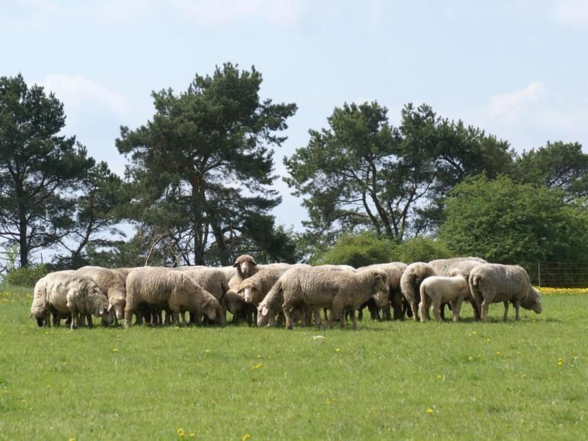 Gemütliche Maisonette Wohnung Seelenblick-Binnen