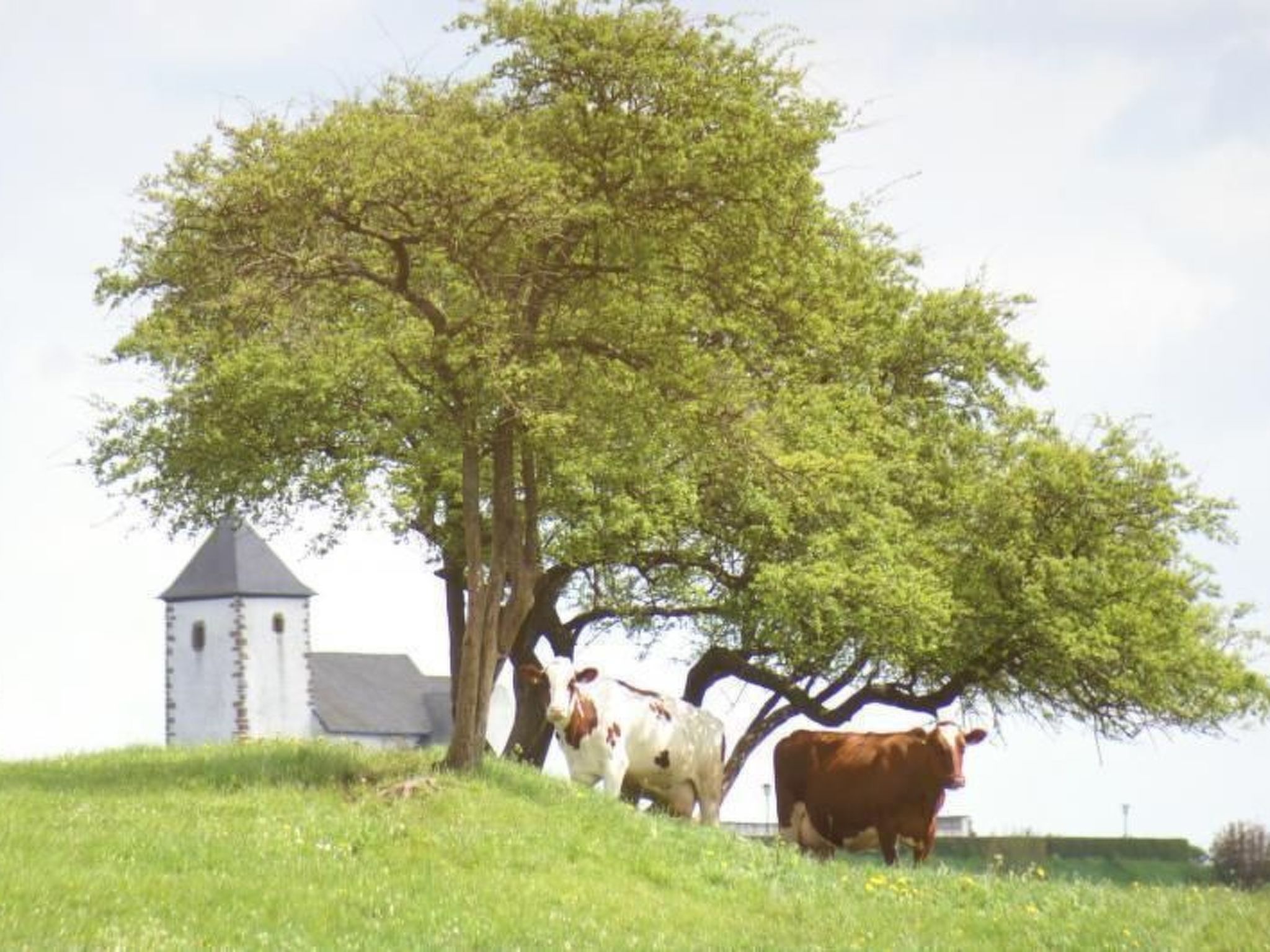 Gemütliche Maisonette Wohnung Seelenblick-Binnen