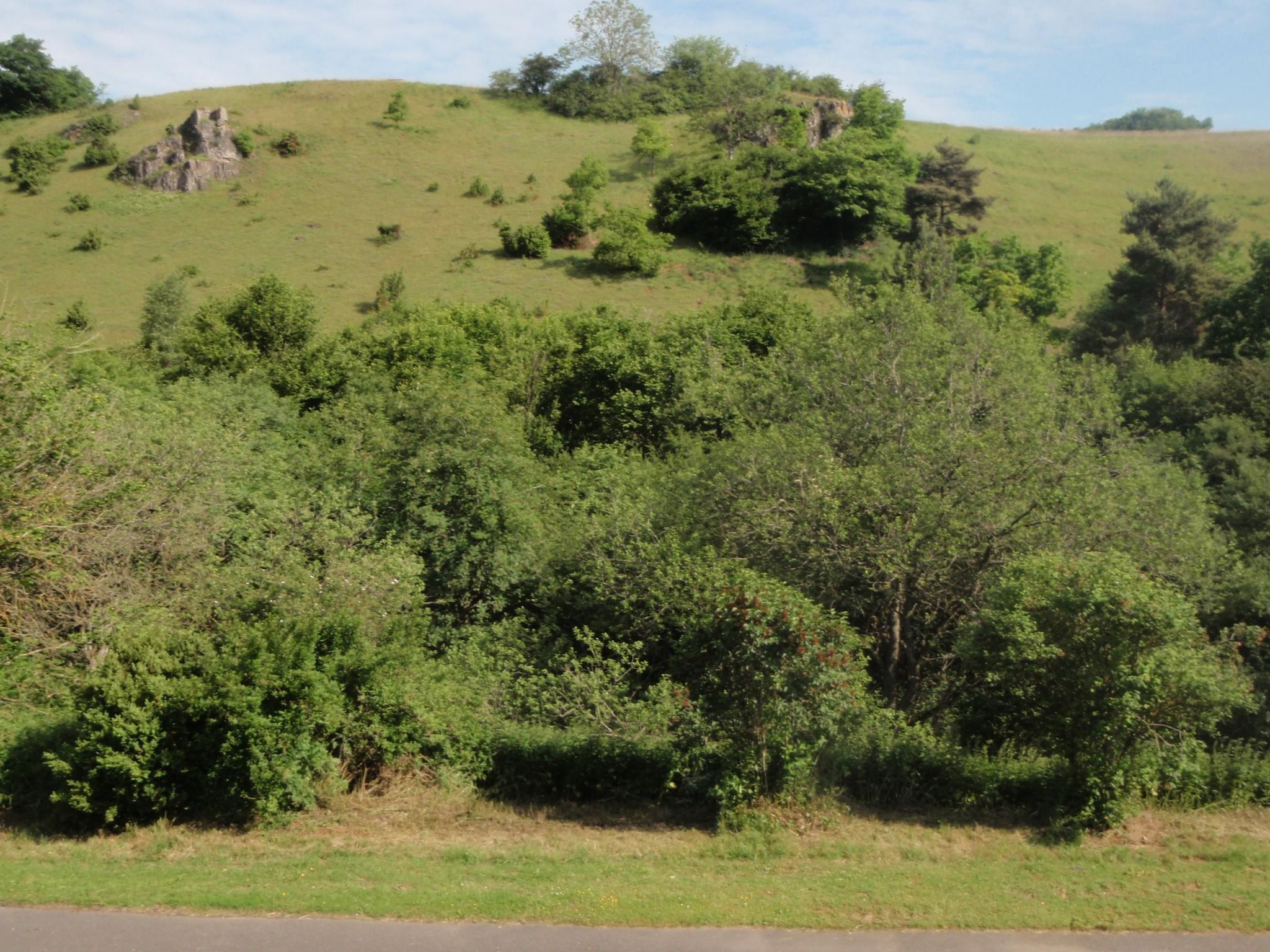 Resi Lux in Niederehe