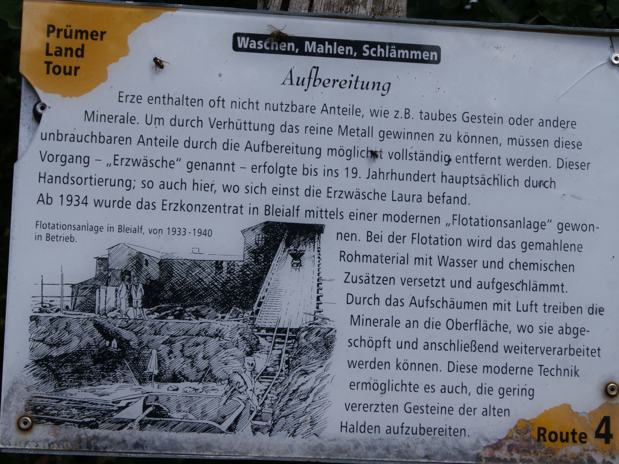 Lenz-Image-tags.info