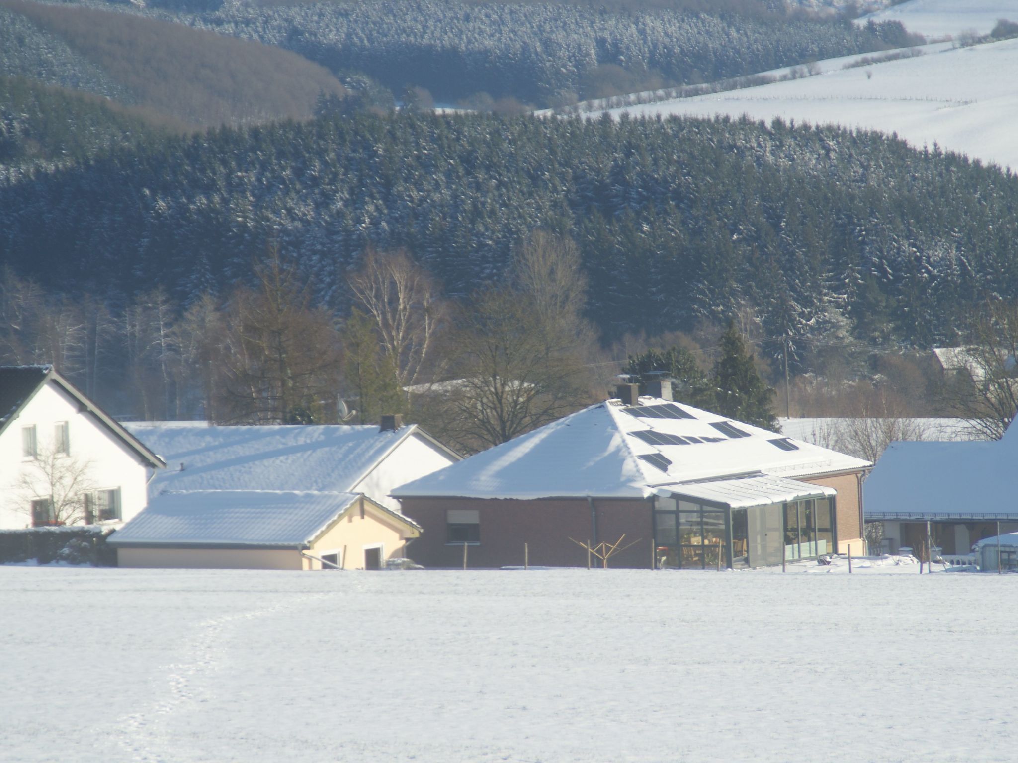 Lenz-Image-tags.info