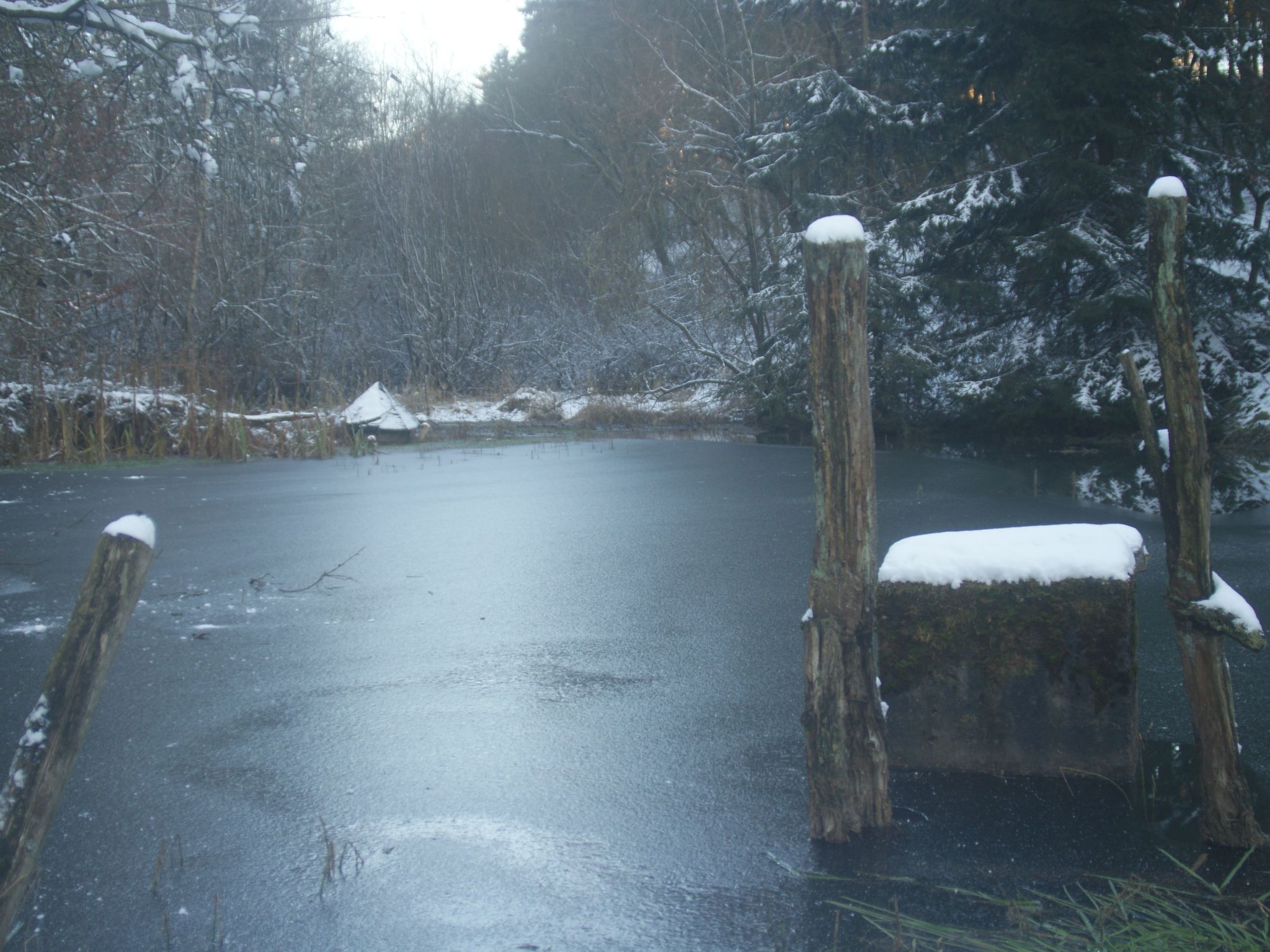 Lenz-Image-tags.info