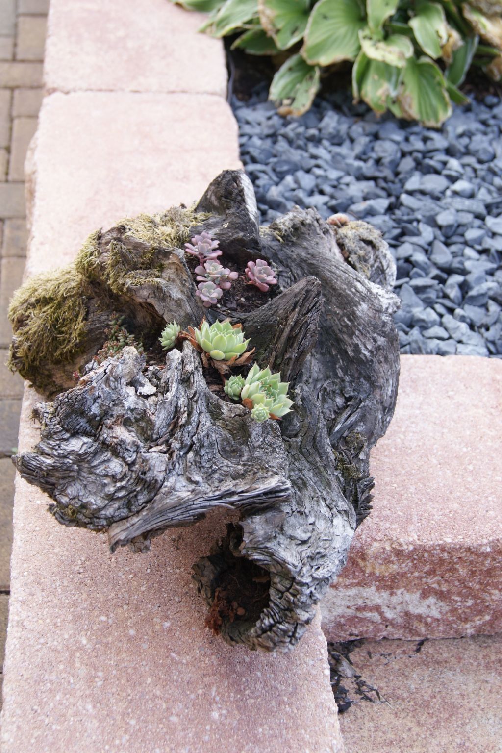 Lenz-Image-tags.info