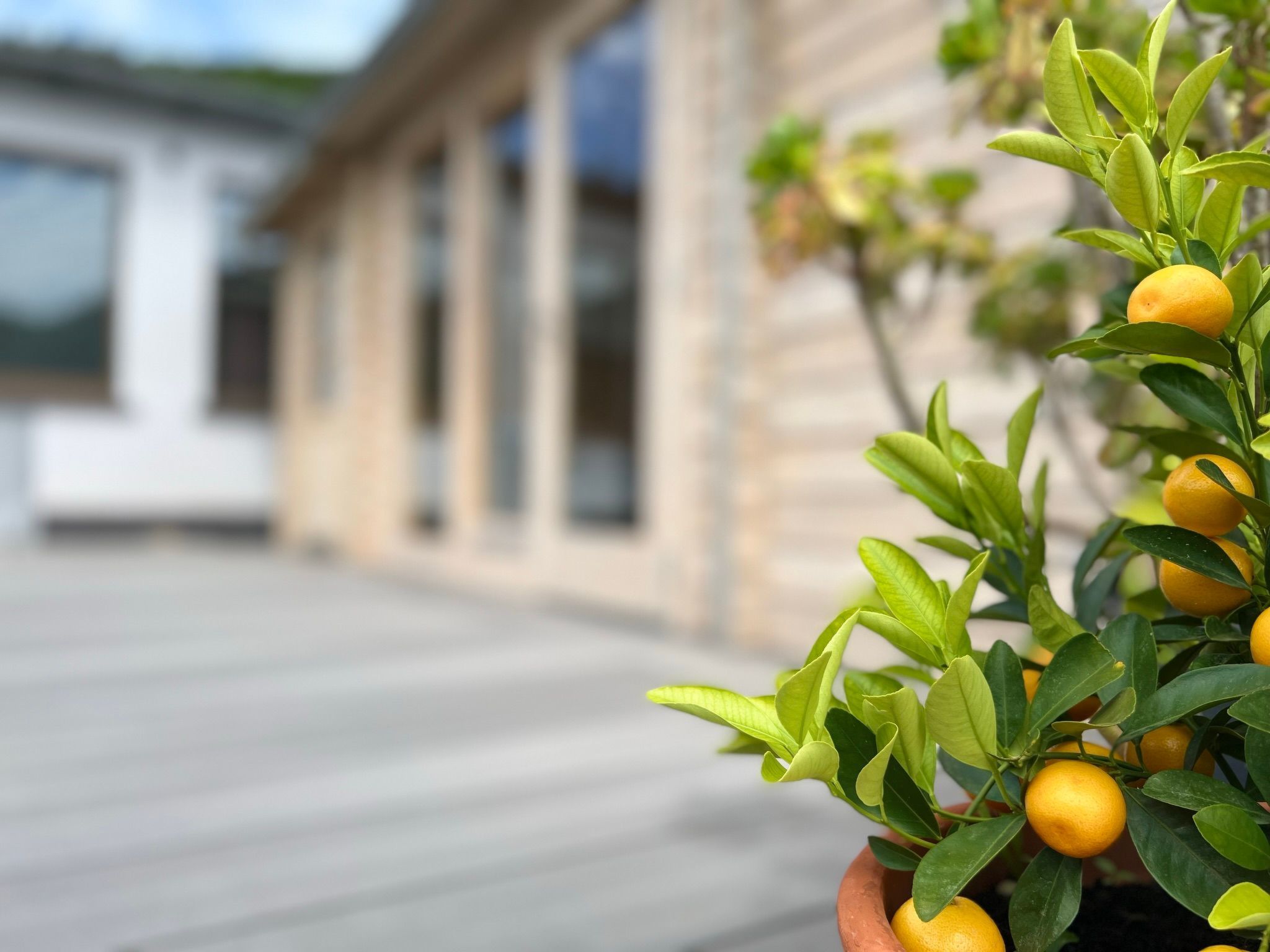 Suite am Radweg-Image-tags.info