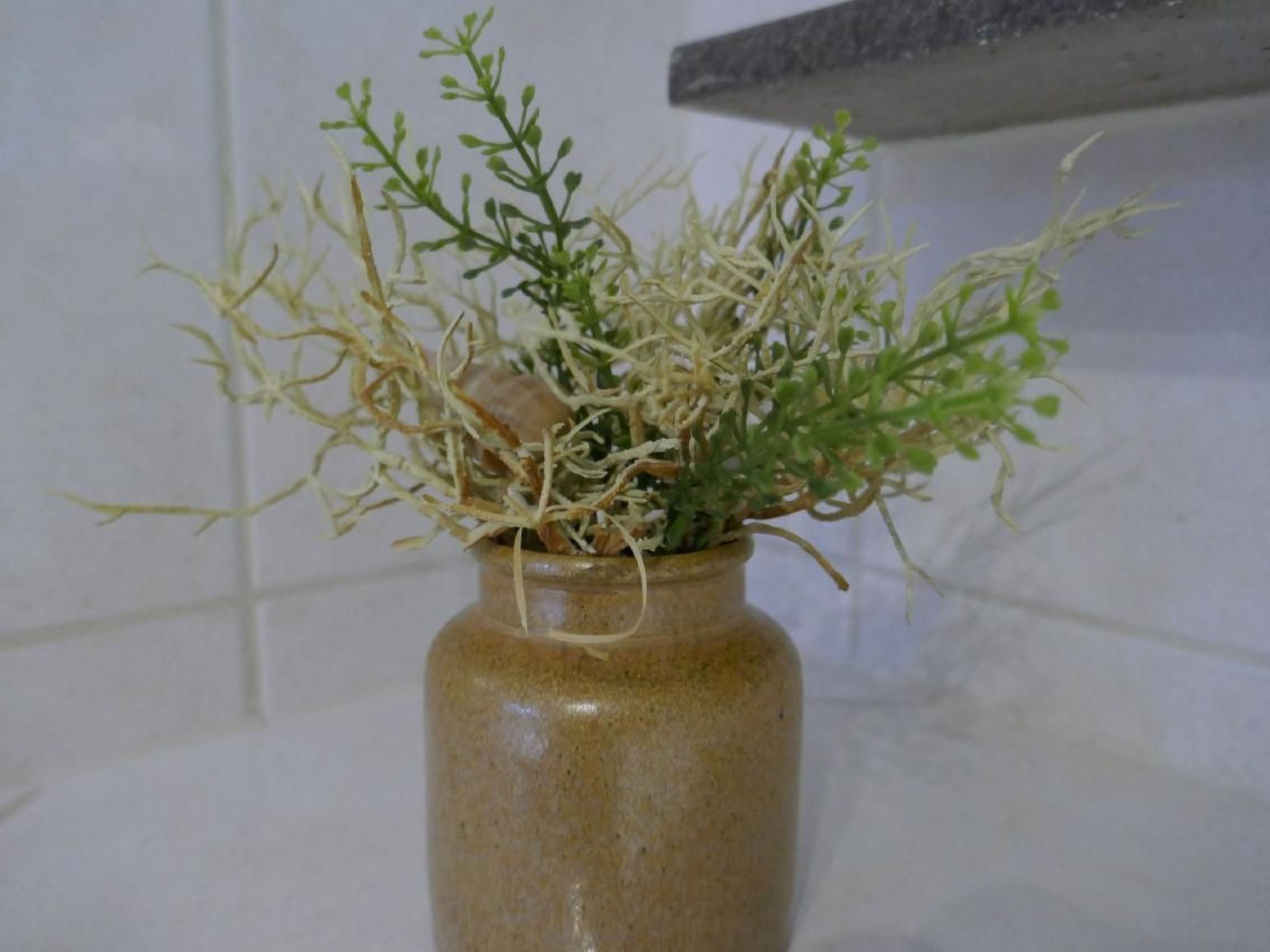 Im Hof-Image-tags.info