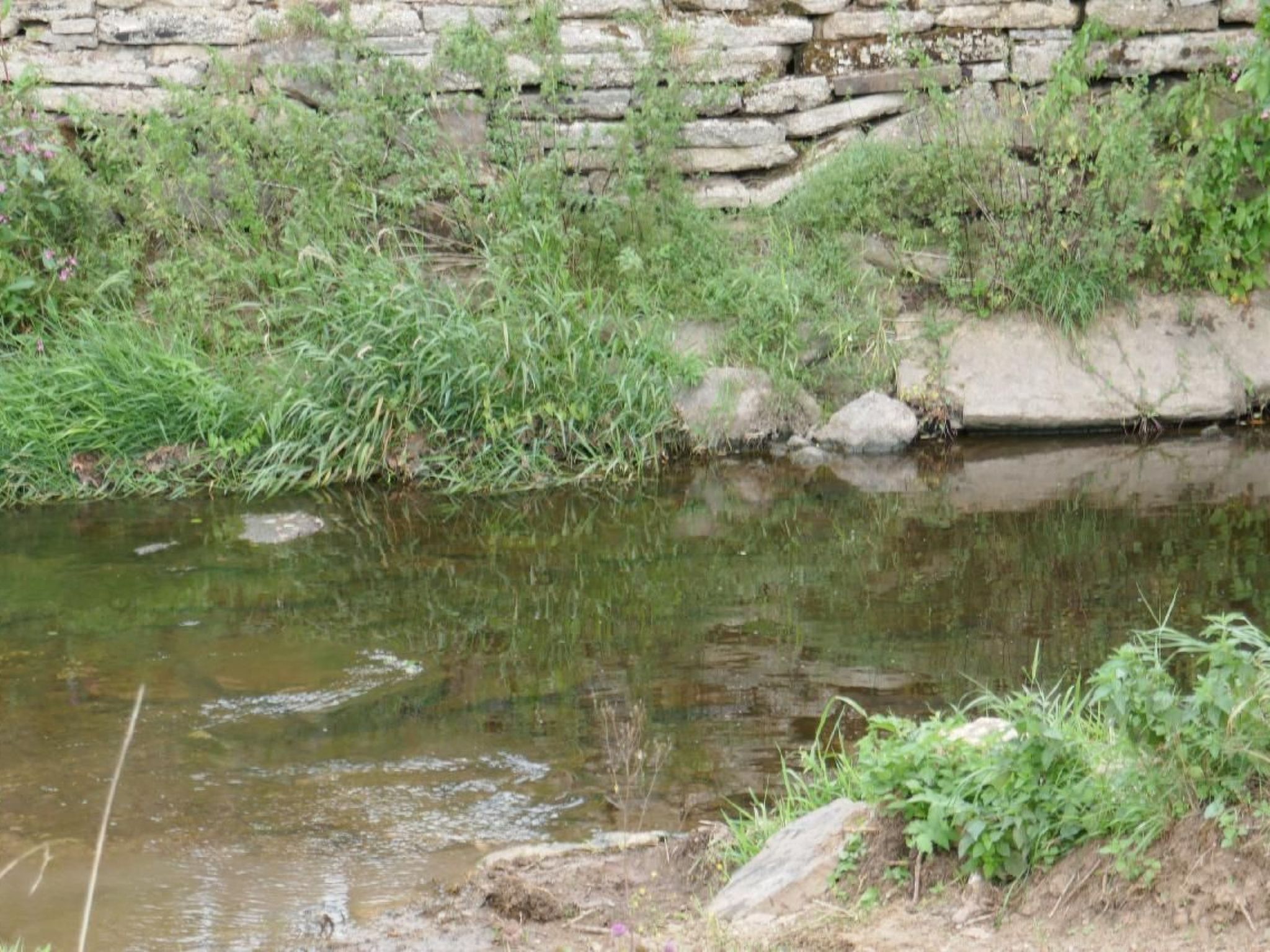 Im Hof-Image-tags.info