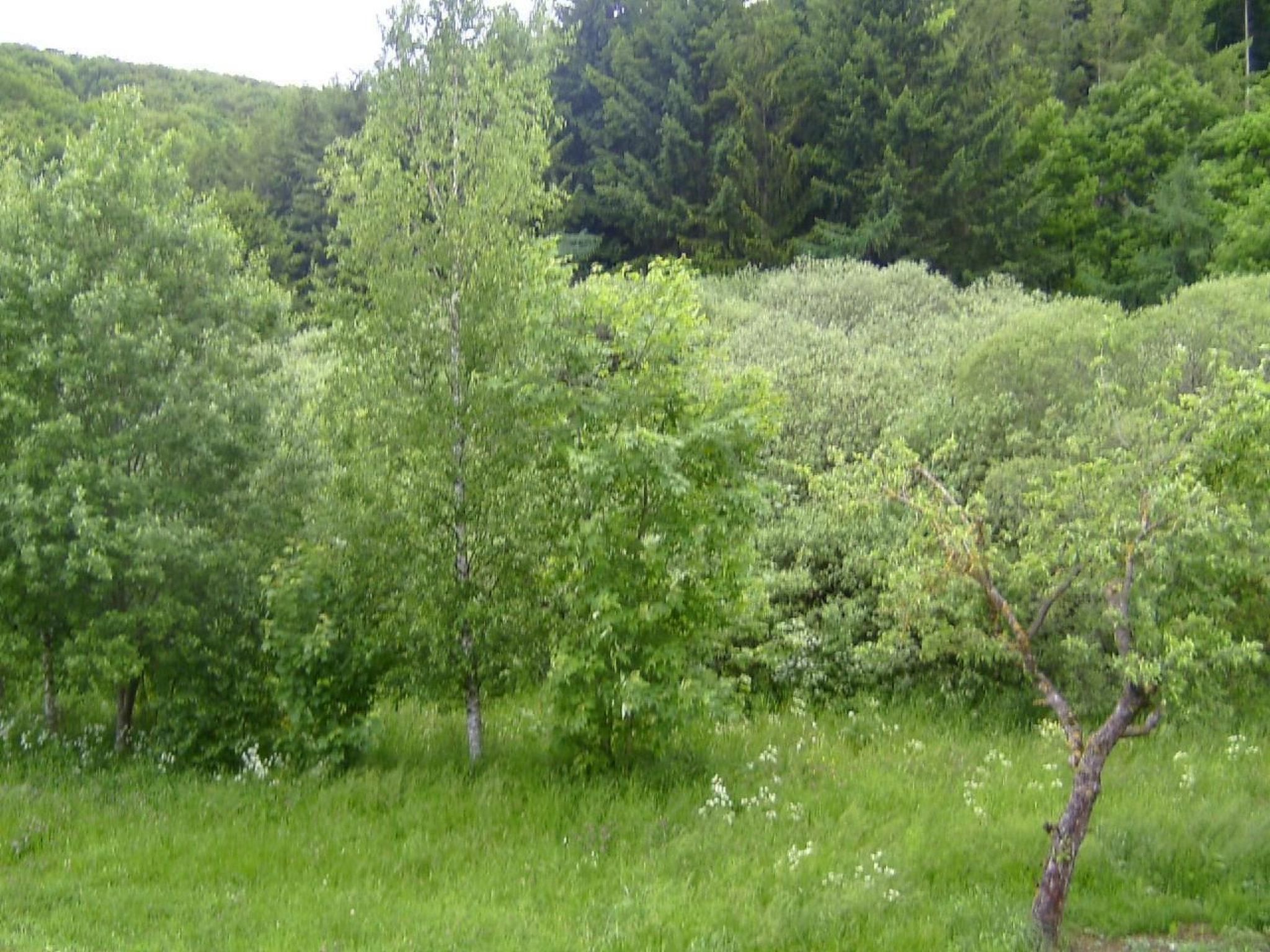 Ober Langengarten-Image-tags.info