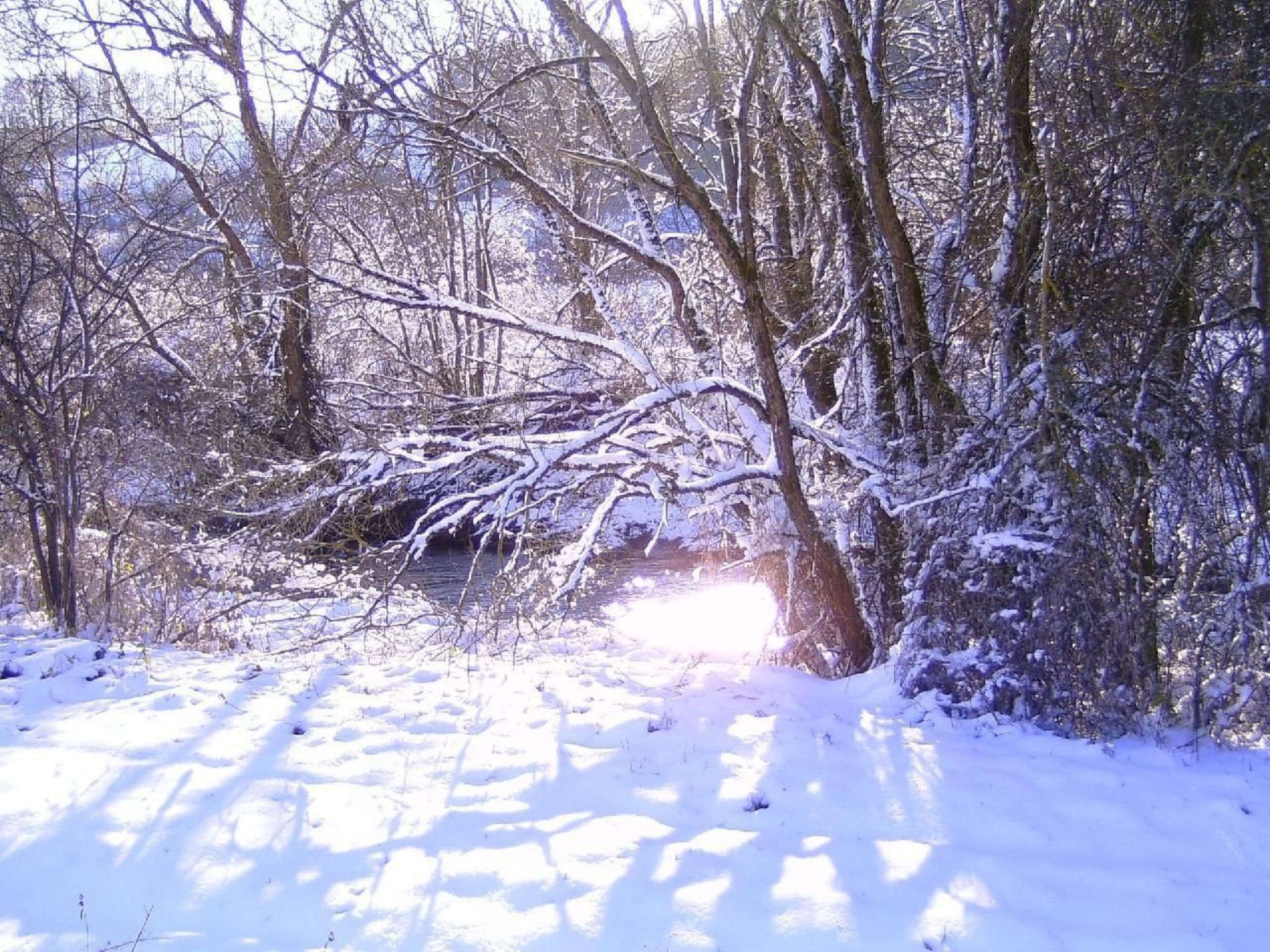 Ober Langengarten-Image-tags.info