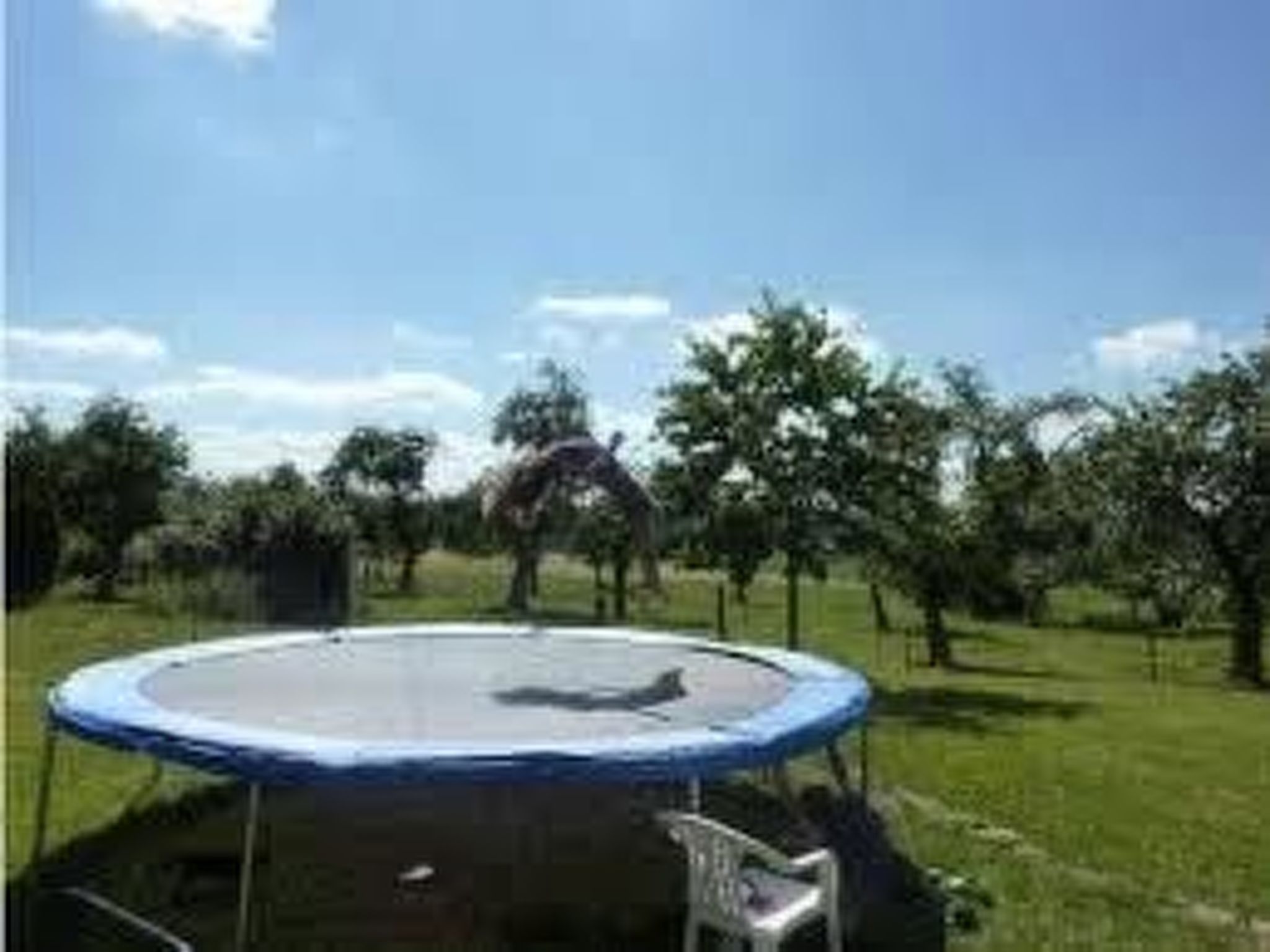 Fewo "Aal Obstbeem"-Draußen