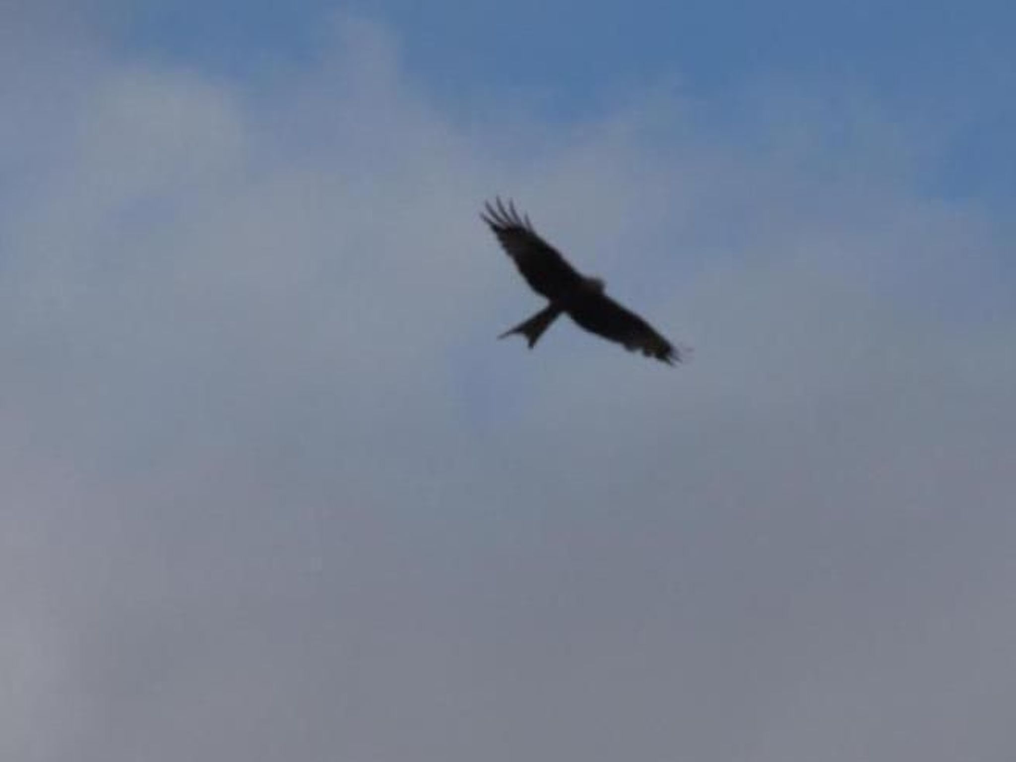 Fewo "Aal Obstbeem"-Draußen