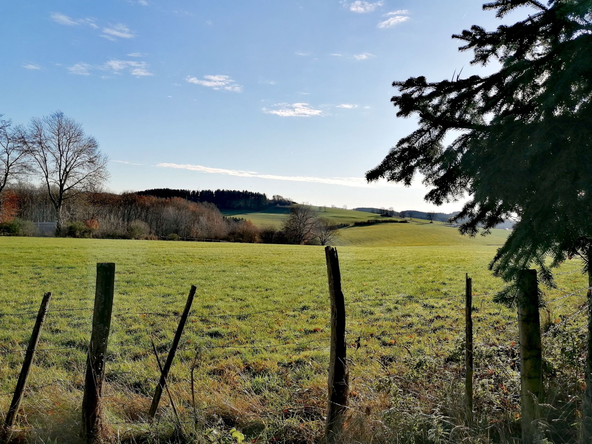 Appartement mit Terrasse-Binnen