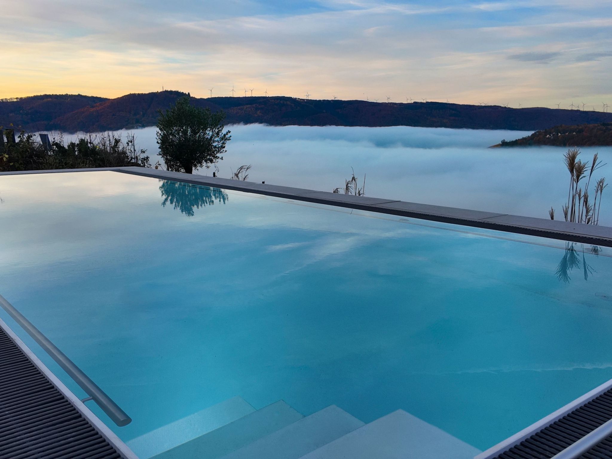 Villa Orange Tree-Image-tags.info