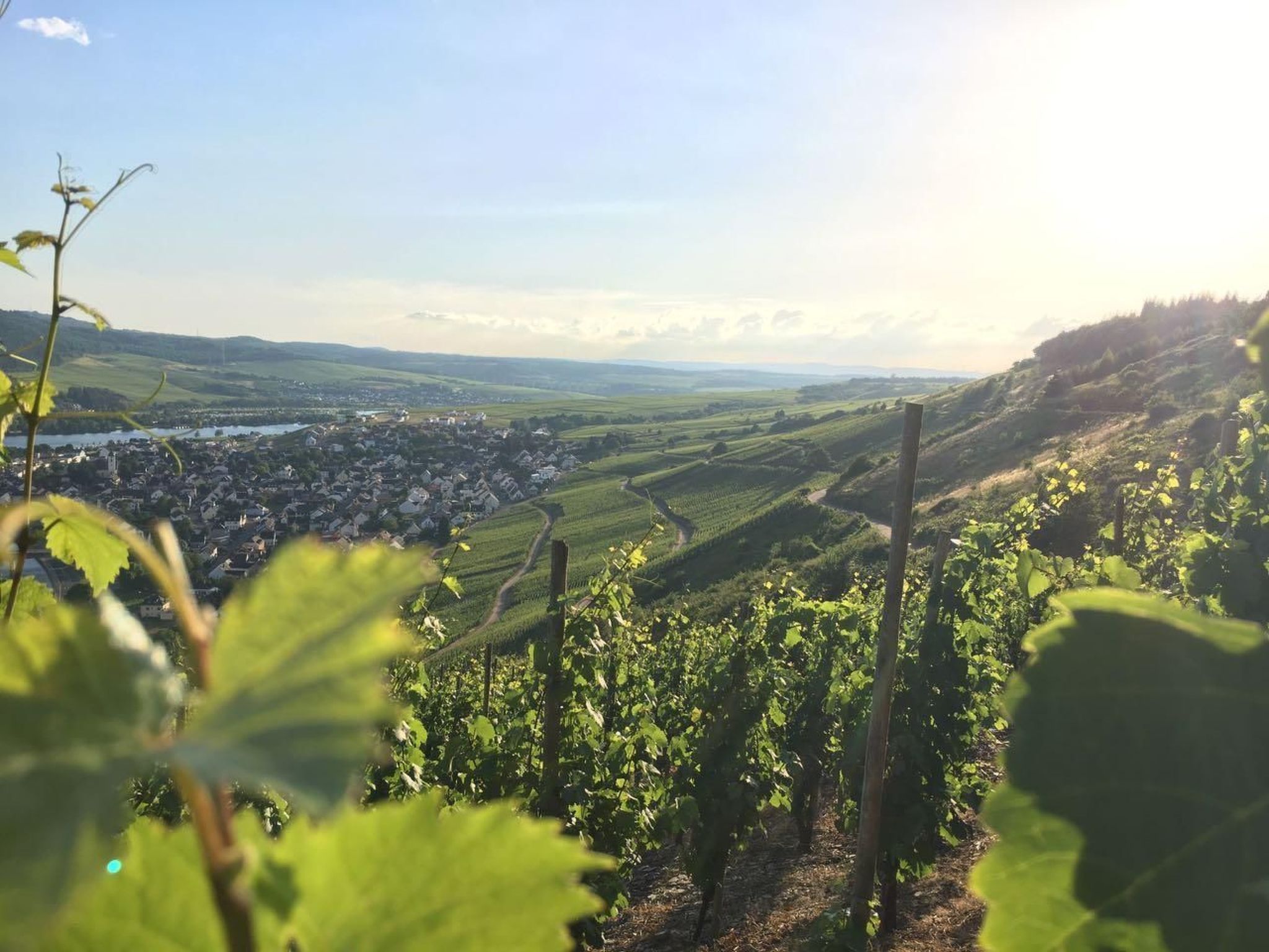 Wohnung in Brauneberg mit Terrasse und Garten