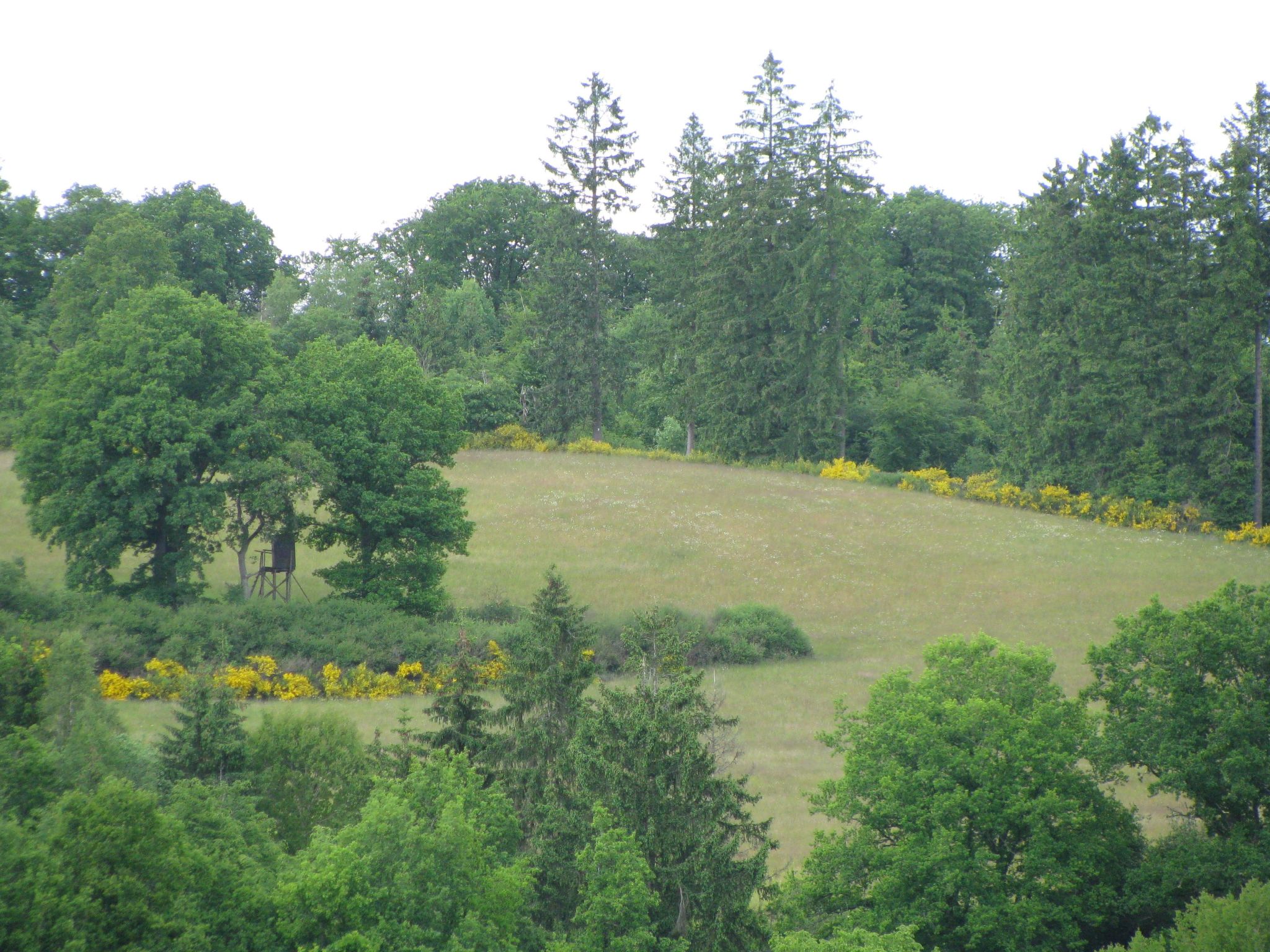 Casa Marlies in Daun-Dedans