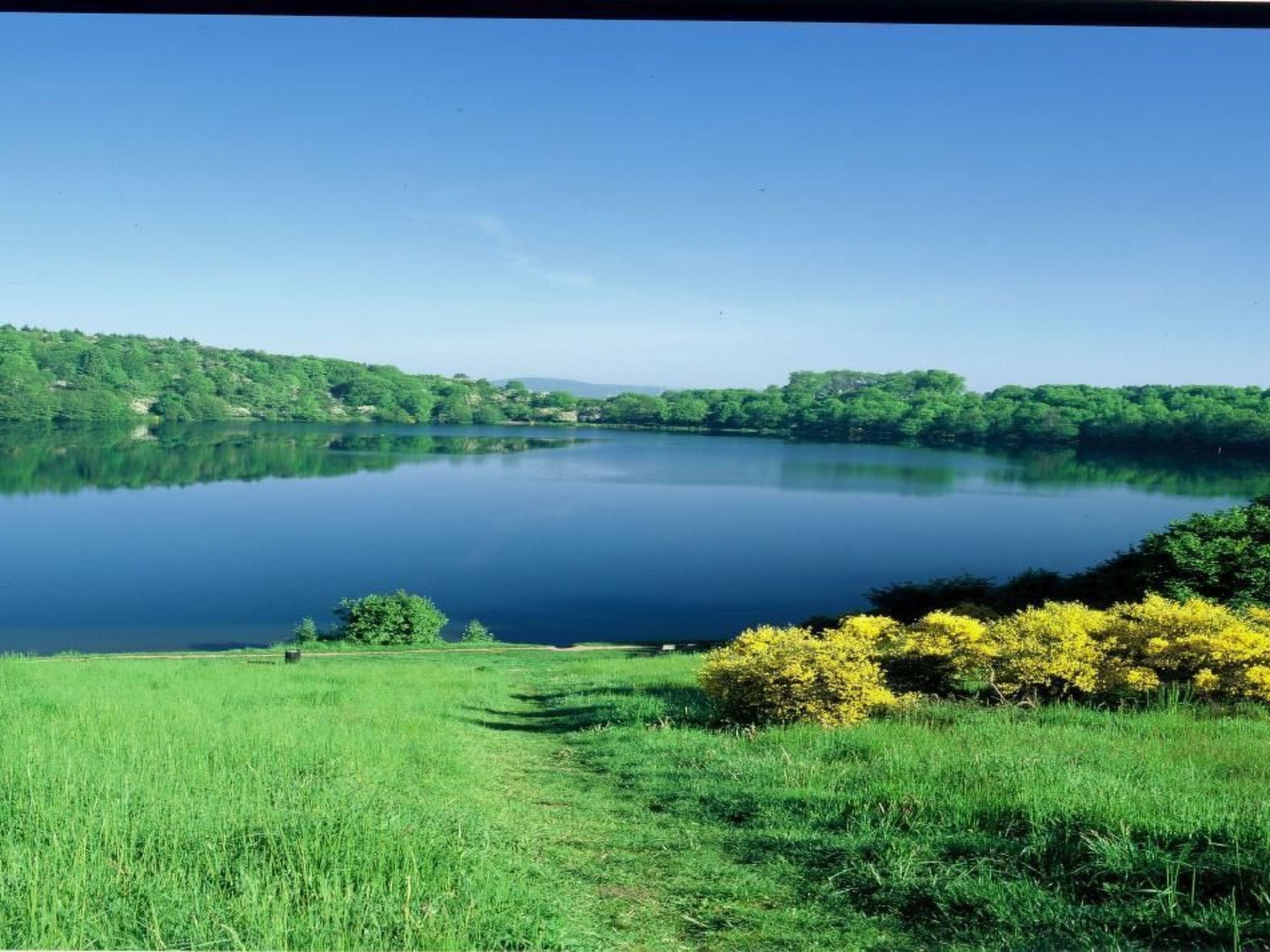 Modernes Ferienhaus in Daun-Dedans