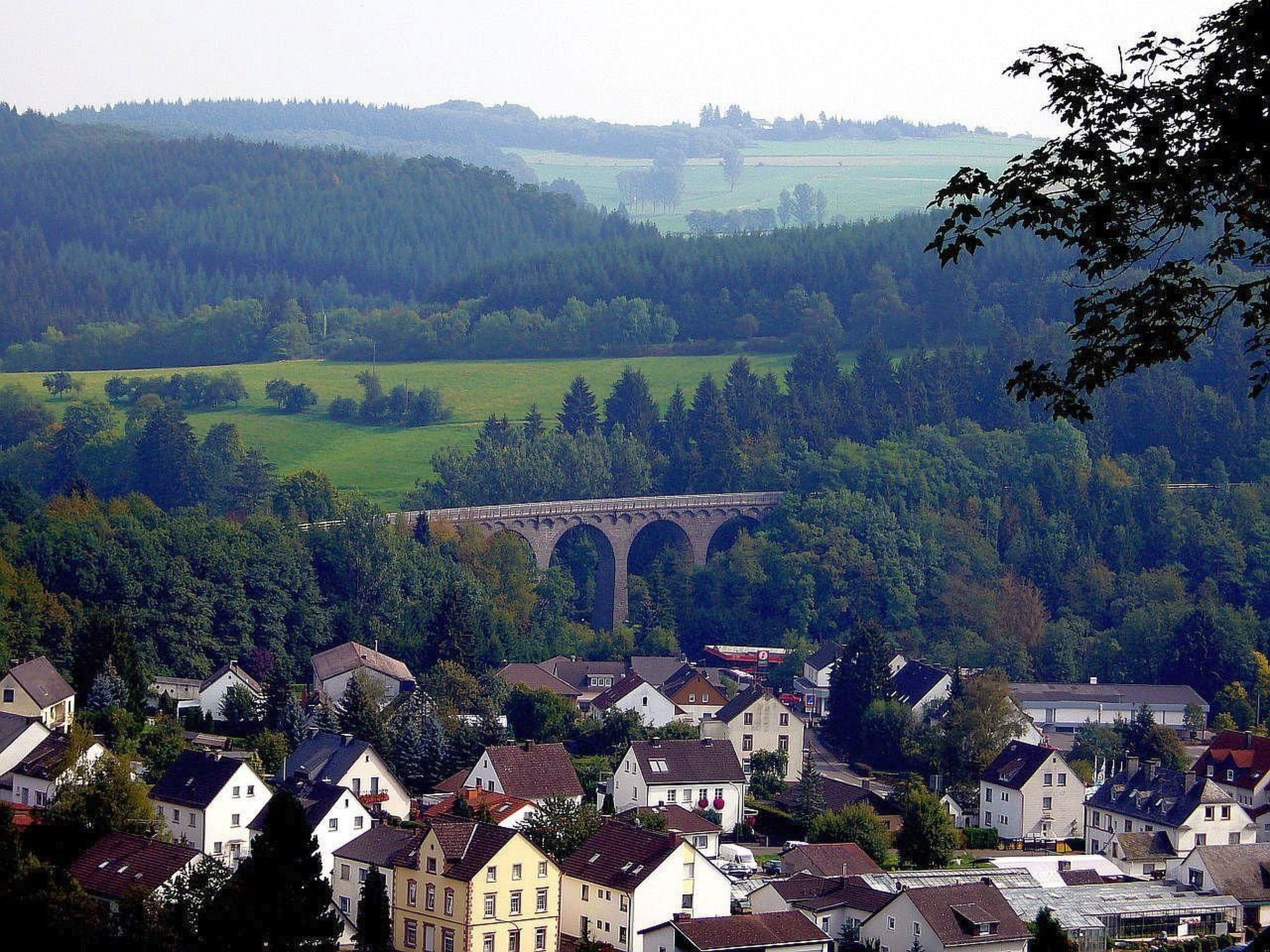 Vulkaneifel in Daun-Dedans