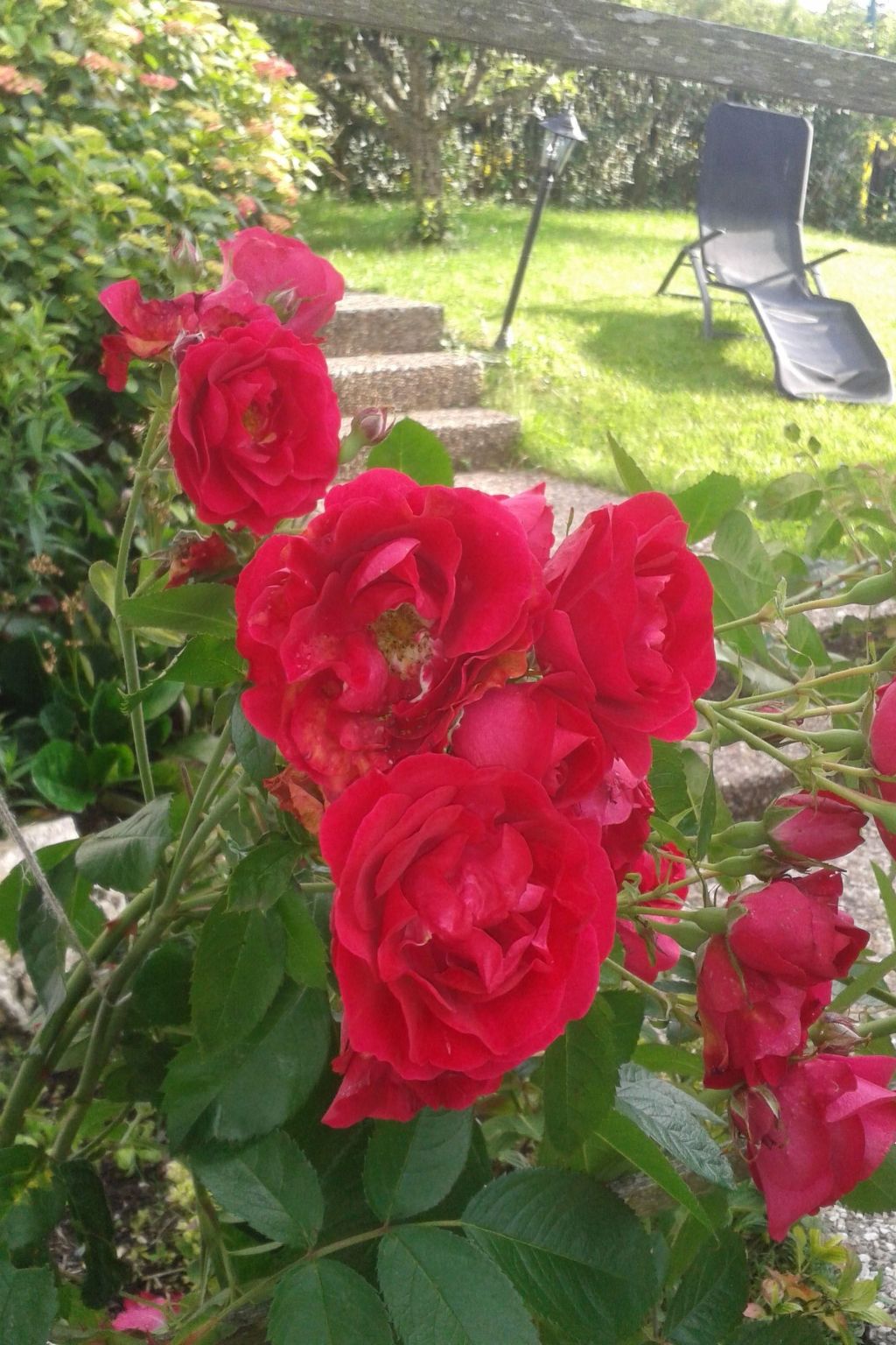 Haus Starkenburg-Binnen