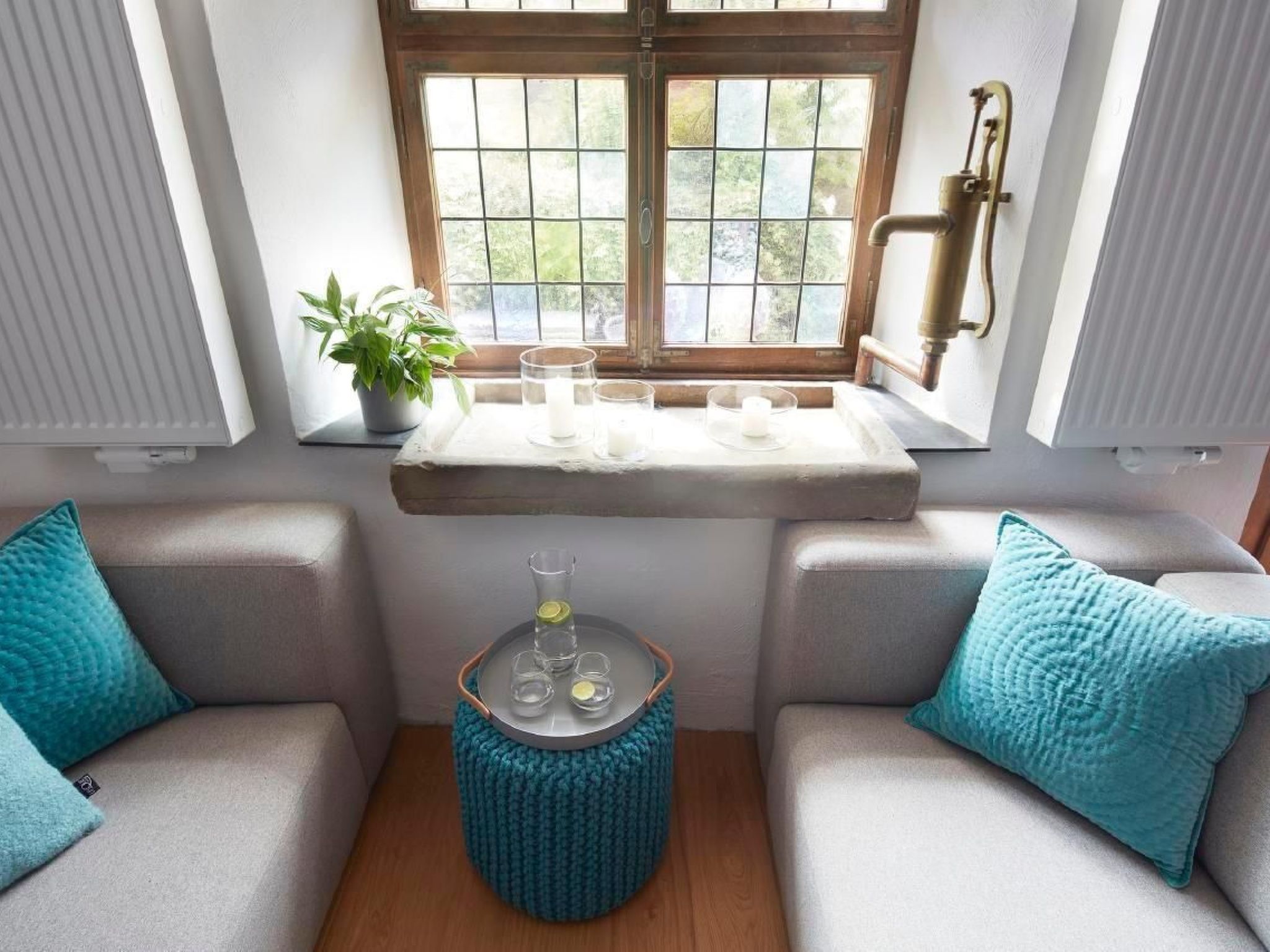 Olive Tree-Image-tags.info