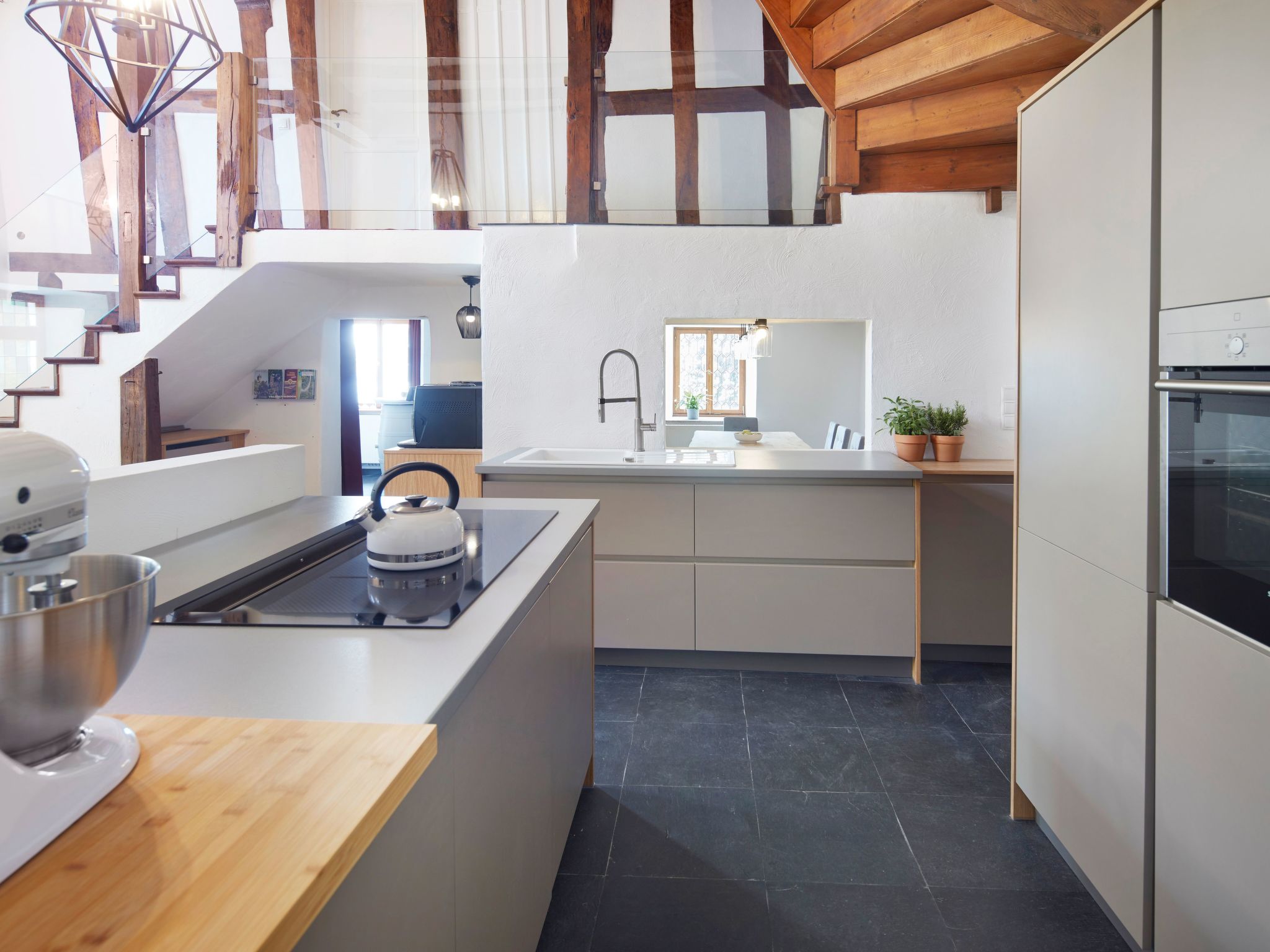 Olive Tree-Image-tags.info